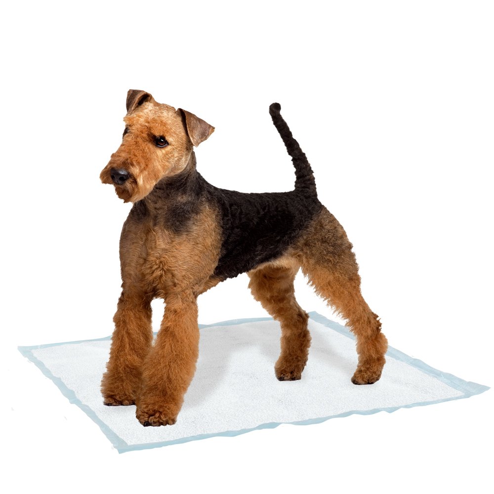 ferplast-genico-large-selbstklebende-hygiene-unterlage-f-r-hunde image 3
