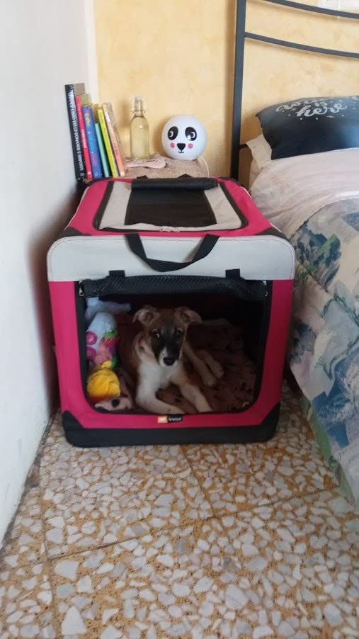 Praktisch für Urlaub und Tierarzt