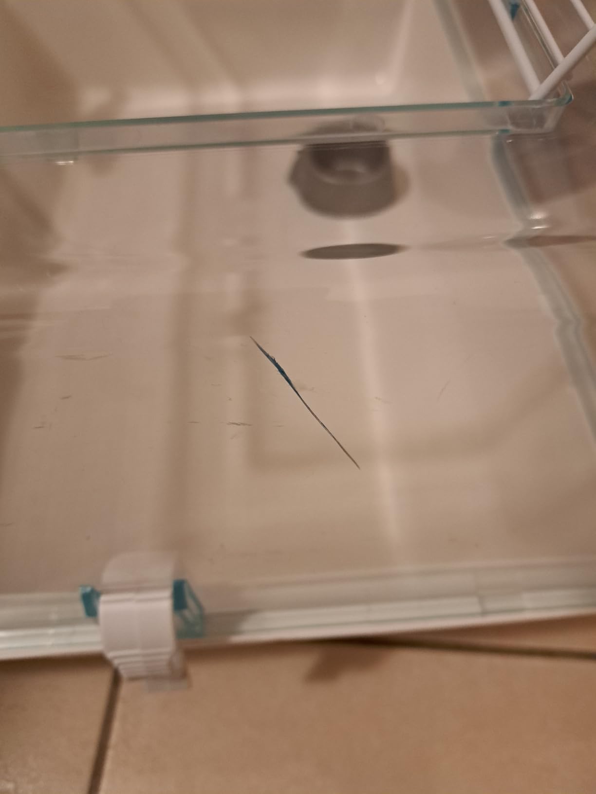 Unser Goldhamster fühlt sich wohl