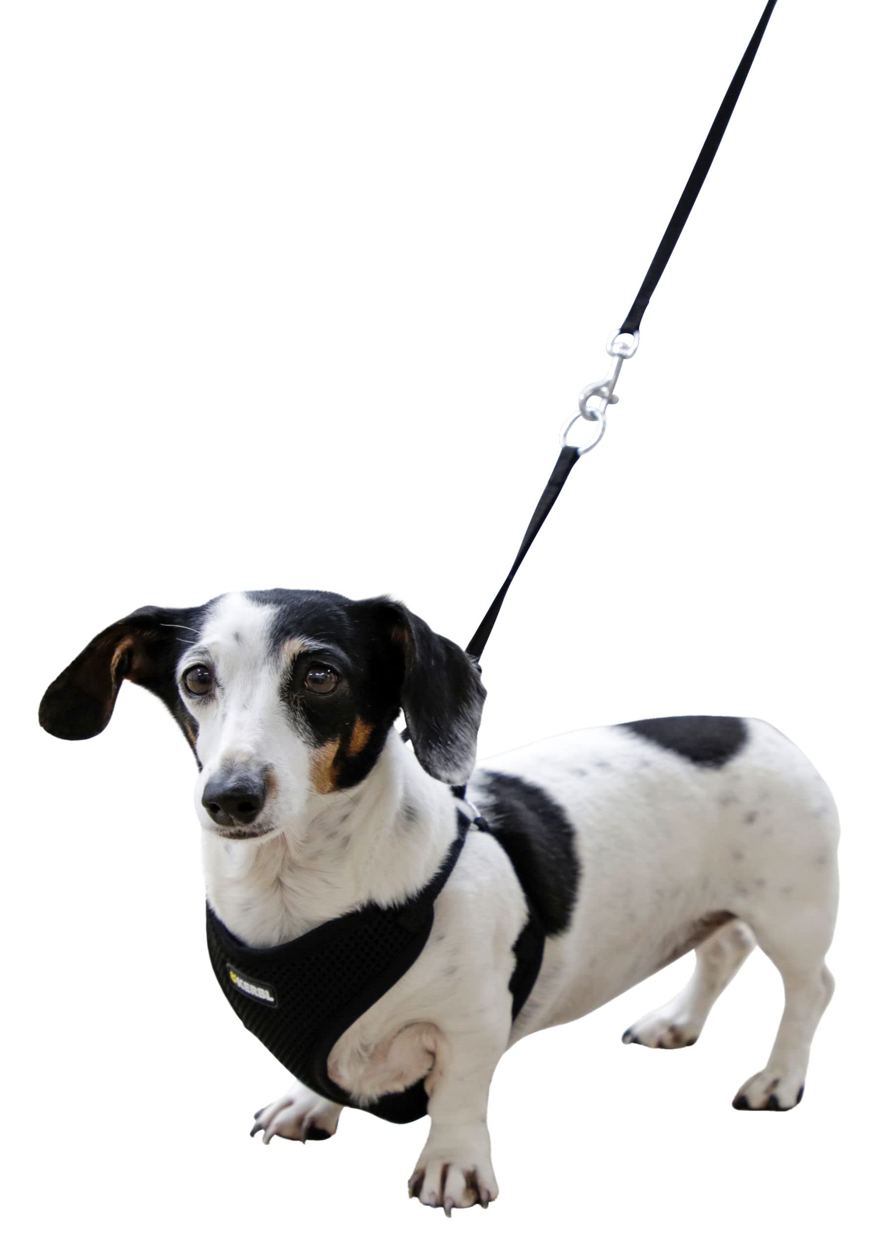 kerbl-pet-welpengeschirr-mit-leine-schwarz-24-44-cm-10-mm image 2