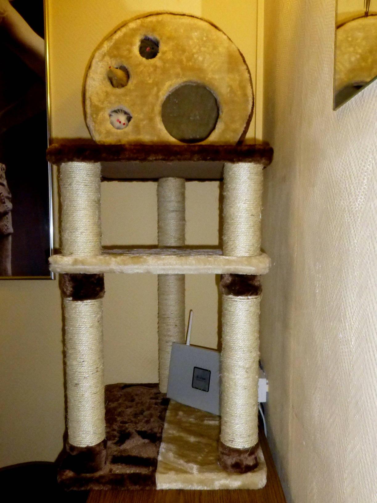 Aufbau leicht, Katzen glücklich