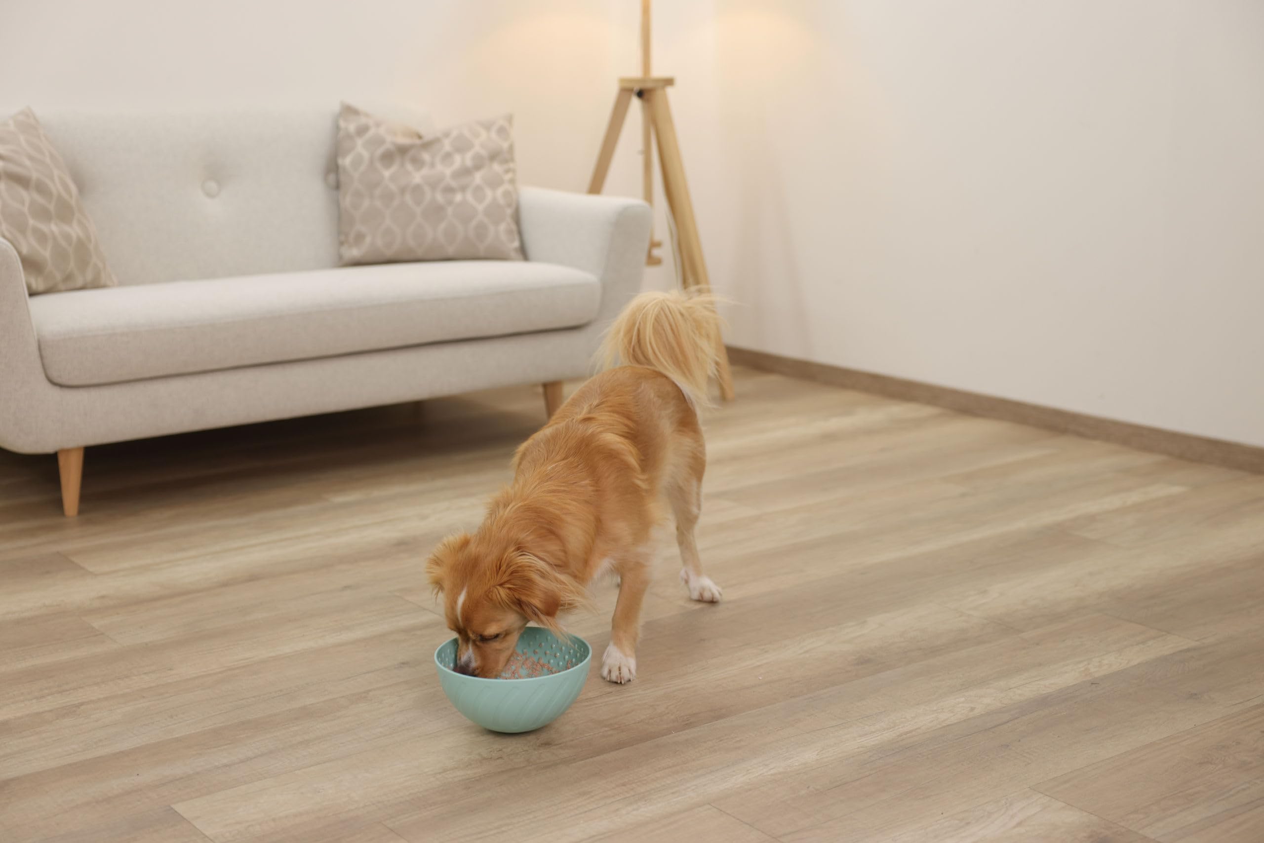 kerbl-pet-schlecknapf-20-5cm-t-rkis-f-r-hund-und-katze image 6