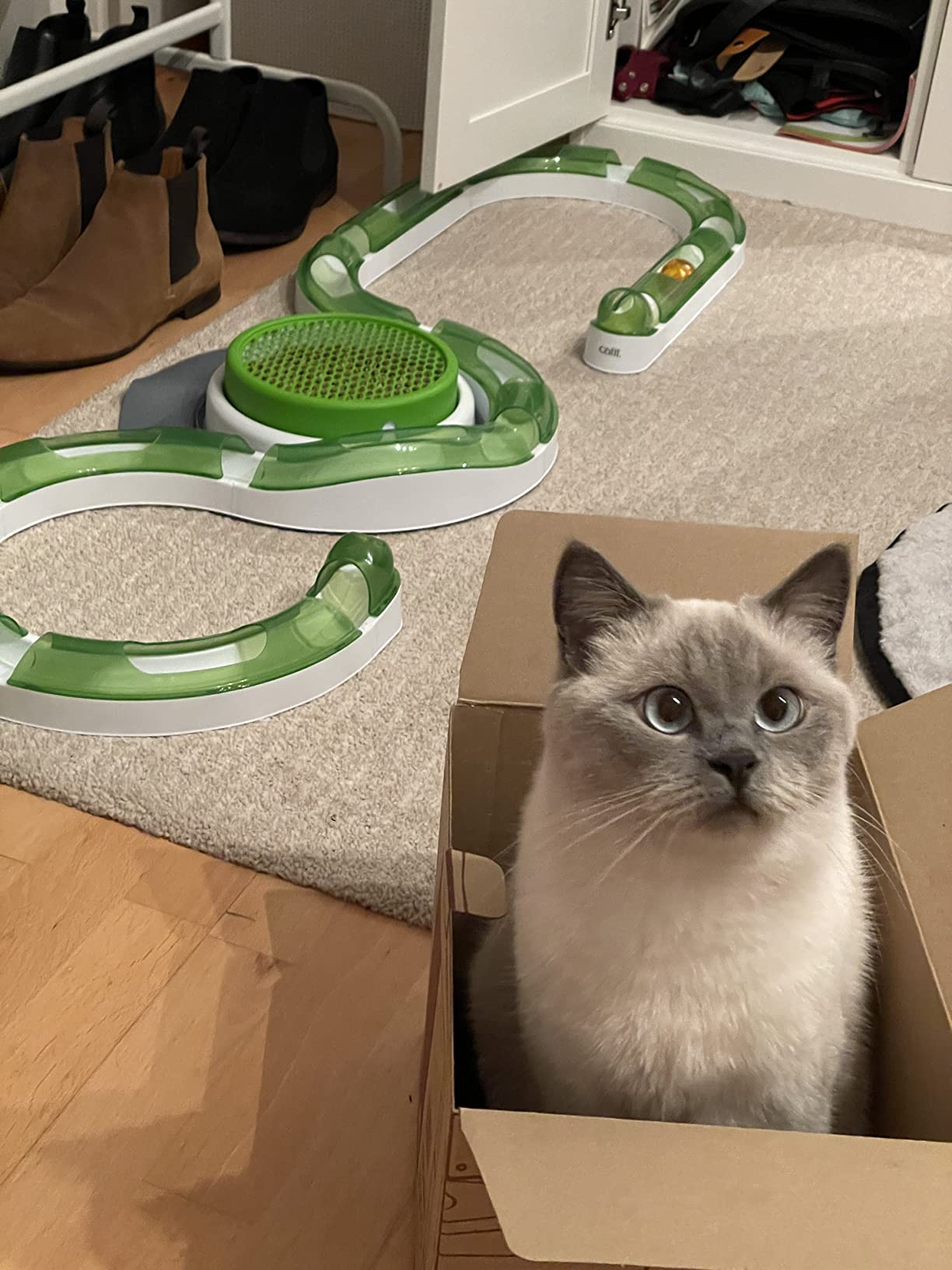 Tolles Spielzeug für drinnen