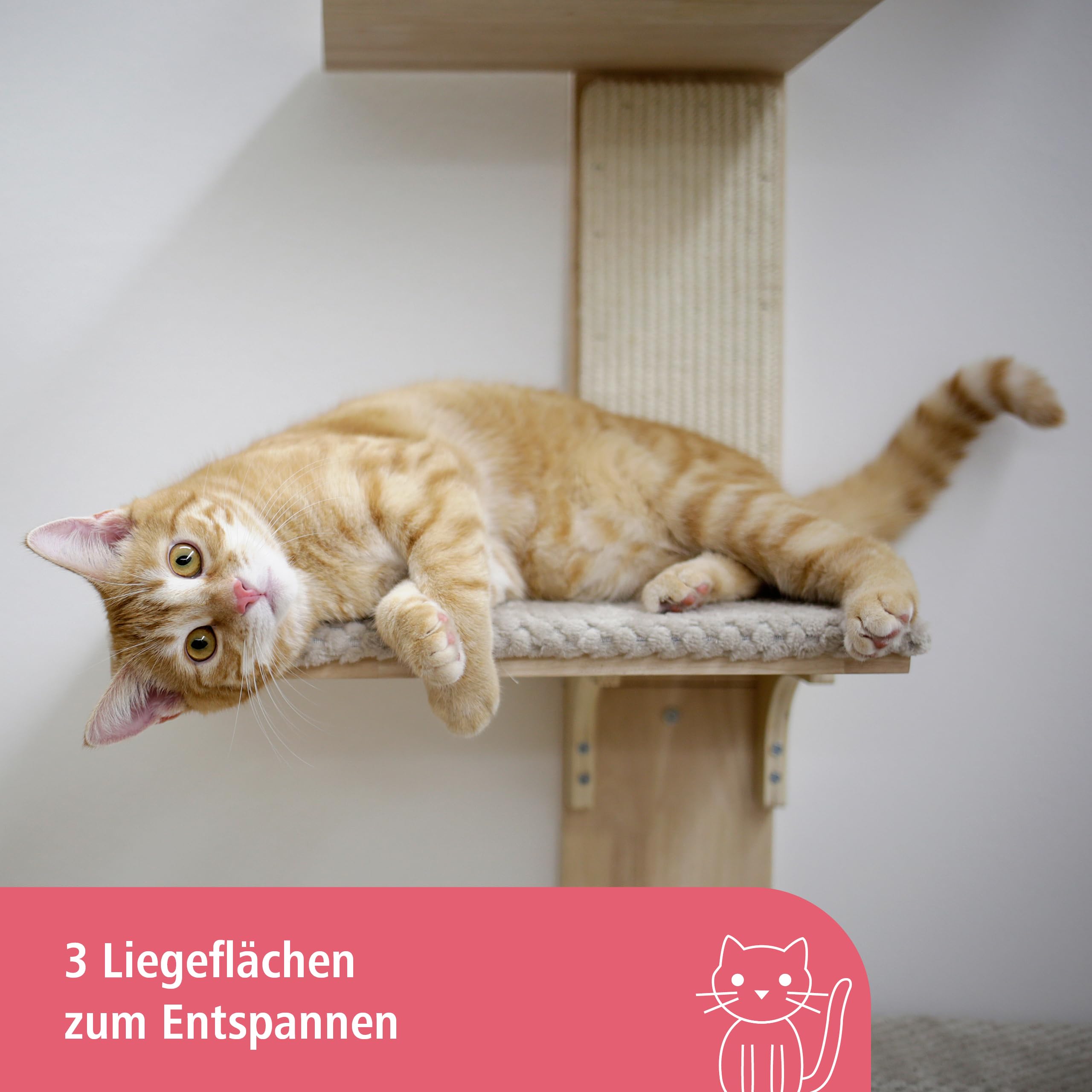 kerbl-pet-wandkratzbaum-timber-150-cm-massivholz-mit-sisalbrett-f-r-katzen-bis-4 image 5