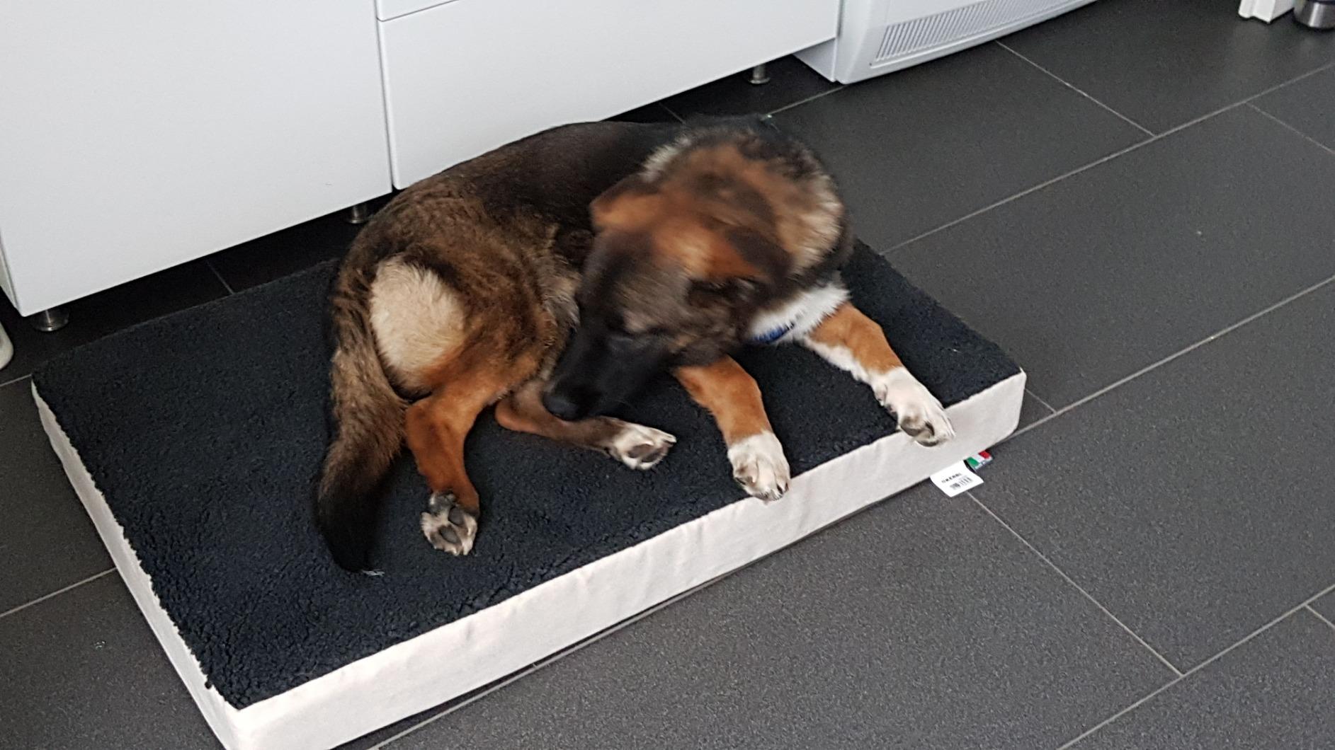 Echte Erleichterung für alte Knochen