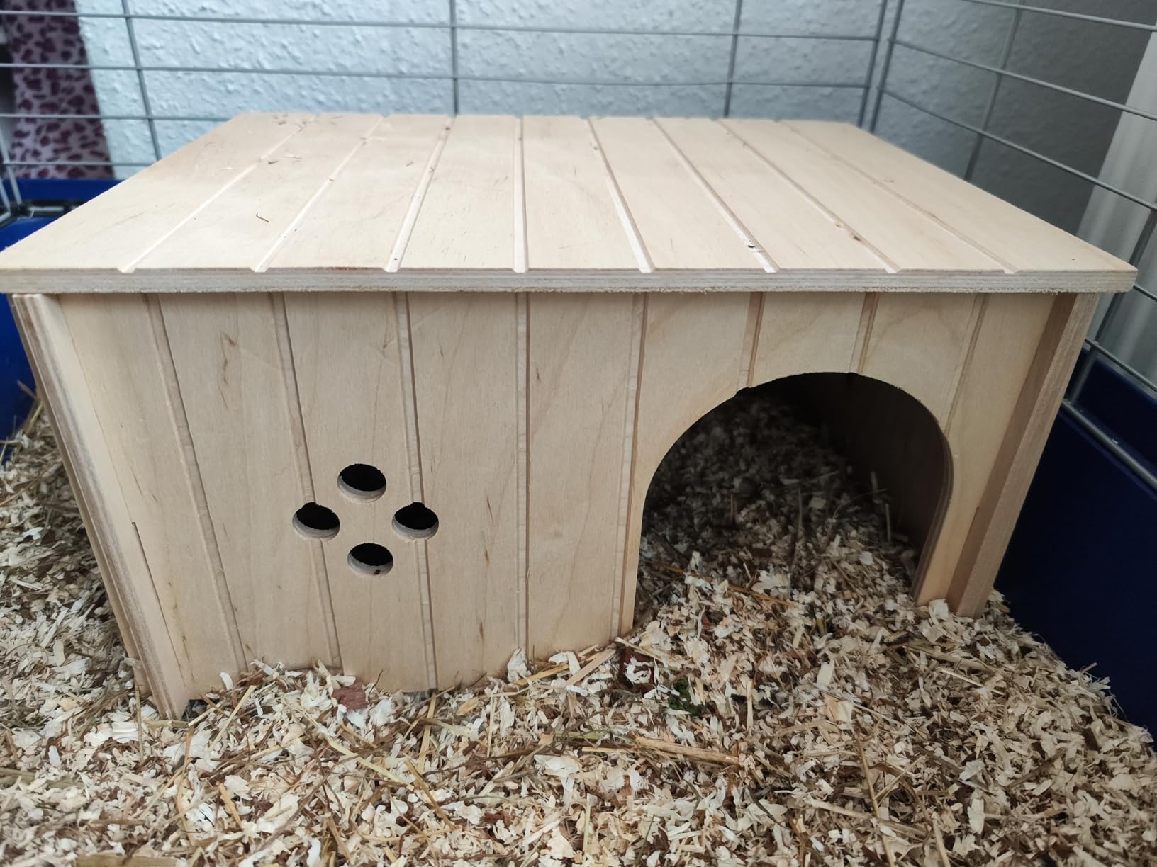 Lieblingsversteck unserer Meerschweinchen