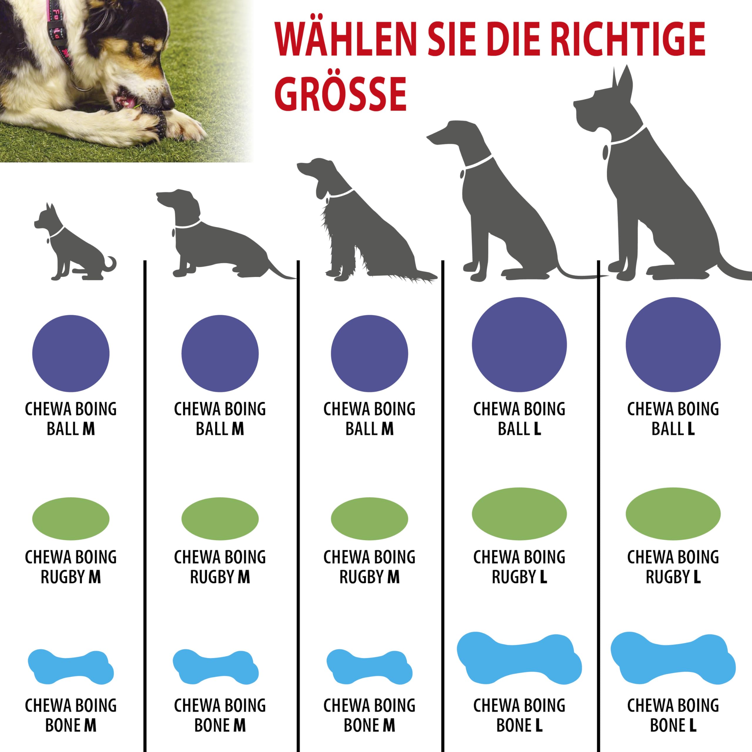 ferplast-chewa-boing-rugby-hundespielzeug-m-schwarz-10-cm-schwimmend image 4