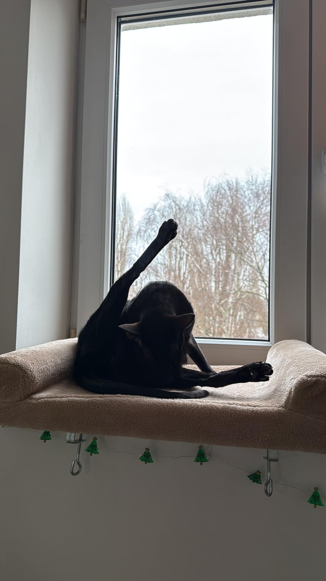 Lieblingsplatz am Fenster