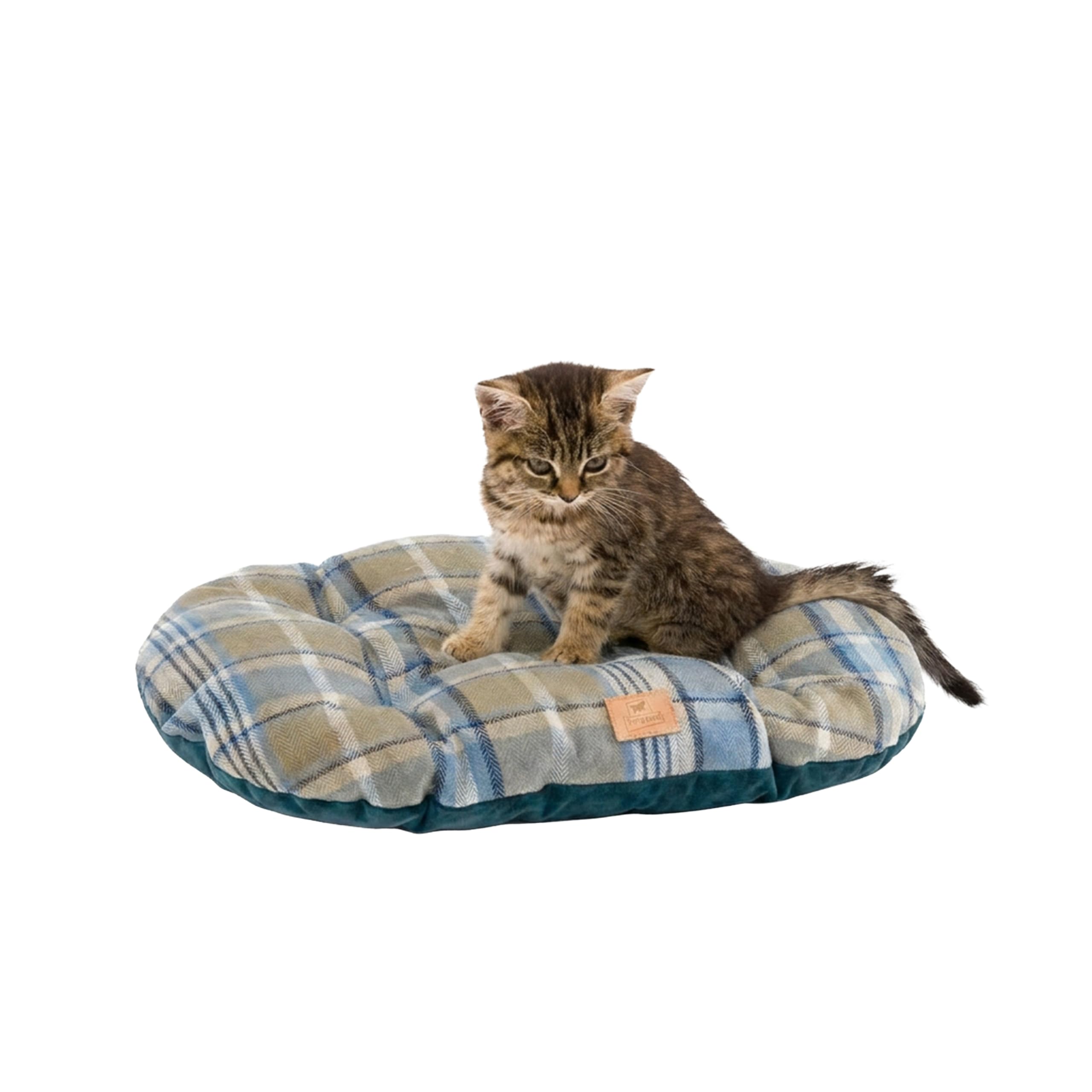ferplast-scott-45-2-hunde-und-katzenkissen-43-x-30-cm-blau-doppelseitiges-samtki image 1