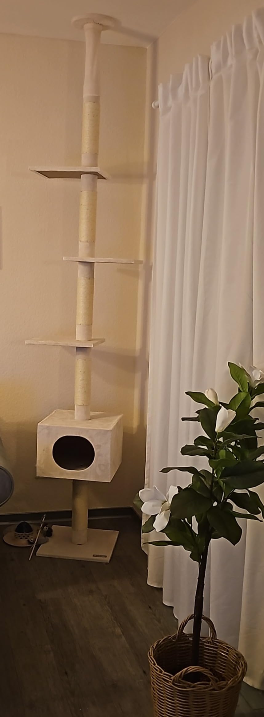 Passt perfekt bis zur Decke