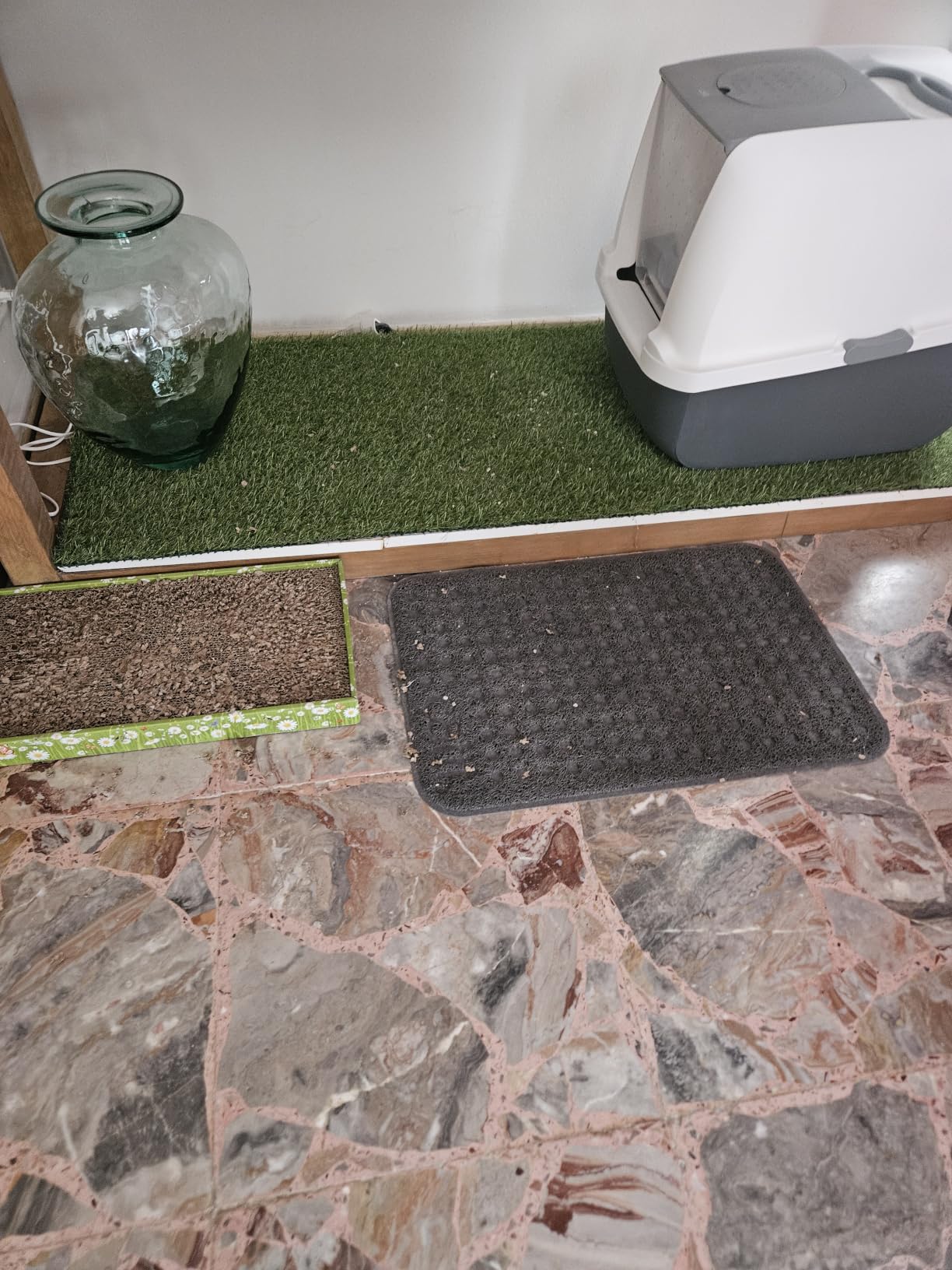 Kein Streu mehr in der Wohnung