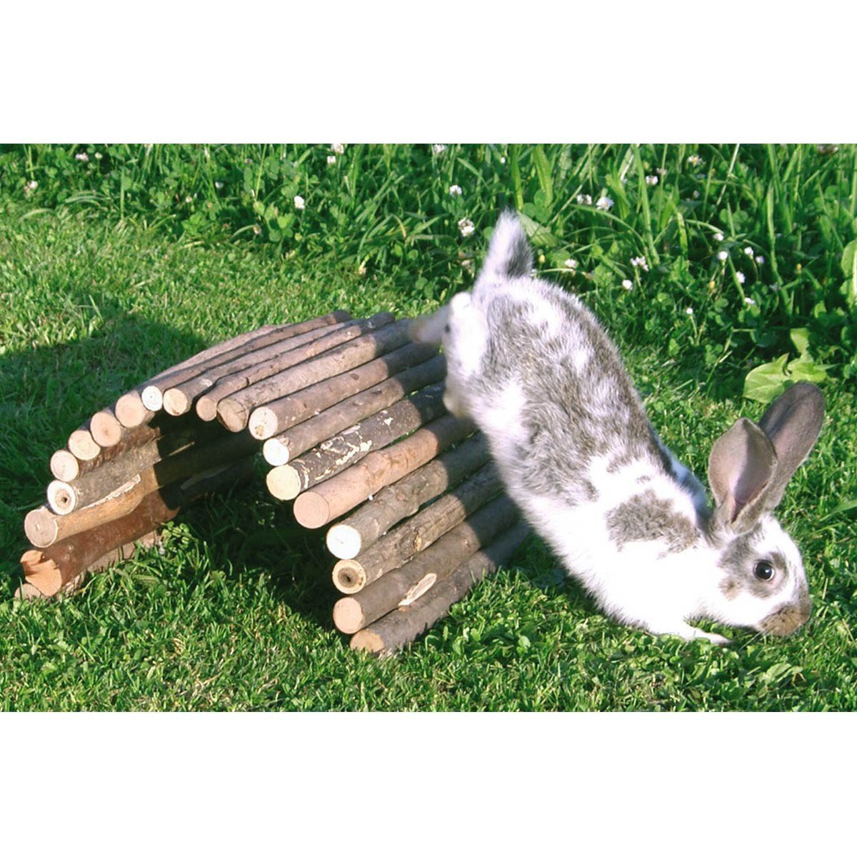 kerbl-pet-holzbr-cke-f-r-kleintiere-16x27-cm-aus-naturbelassenem-holz image 2