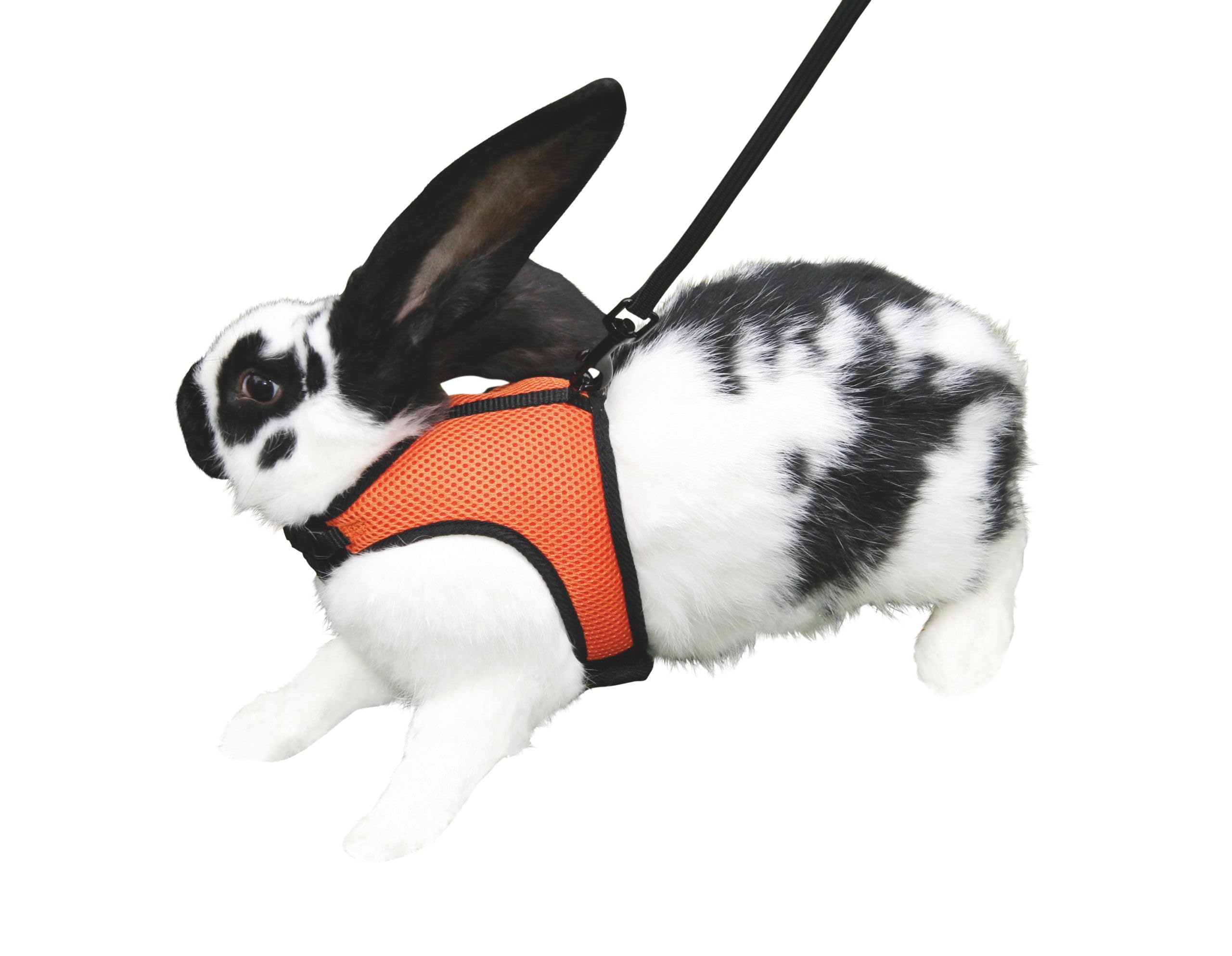 kerbl-pet-sport-meerschweinchengeschirr-mit-flexibler-leine-120-cm image 2