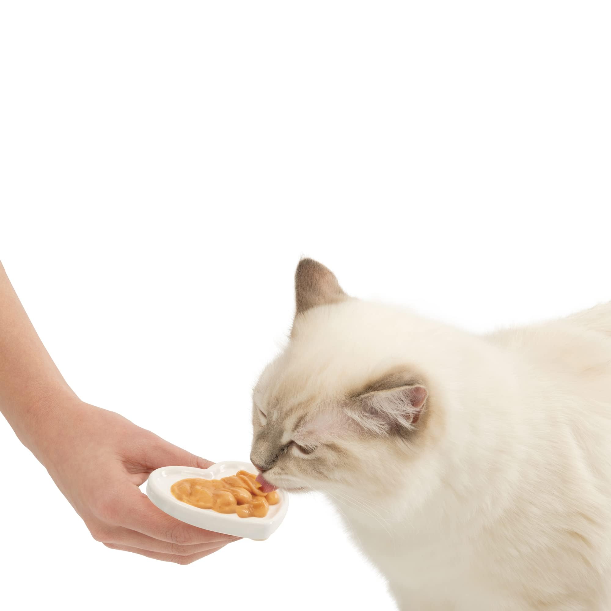 catit-creamy-herz-keramikschale-f-r-katzen-leckerlis image 5