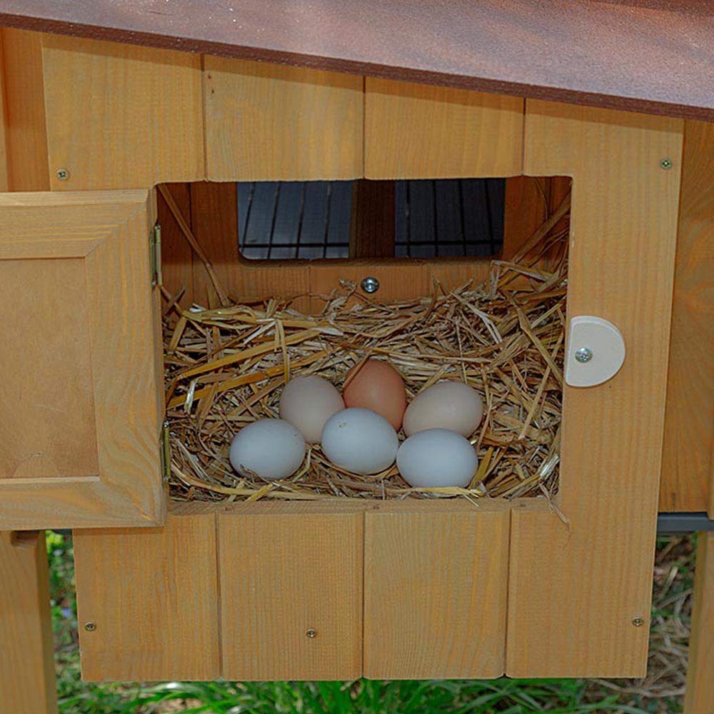ferplast-hen-house-10-h-hnerstall-aus-fsc-holz-f-r-ca-4-h-hner-124x98x110-cm image 4