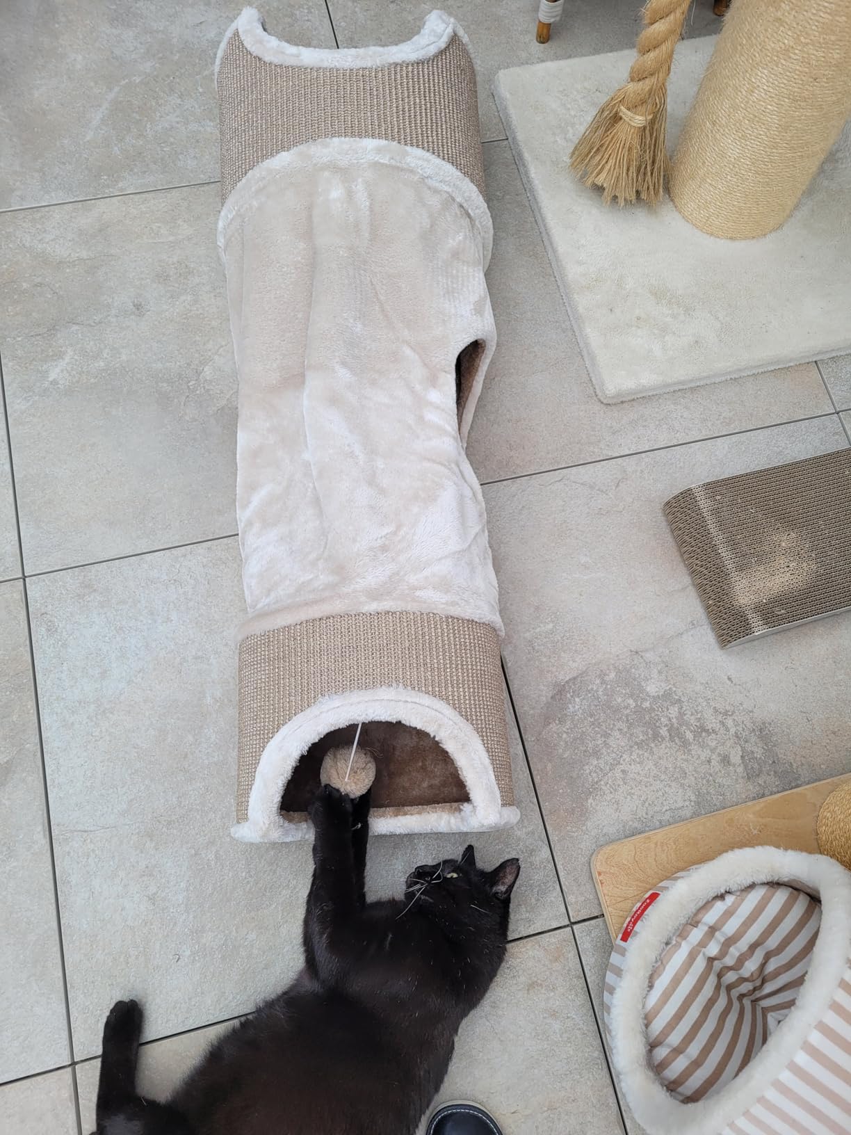 Katzenparadies auf kleinem Raum