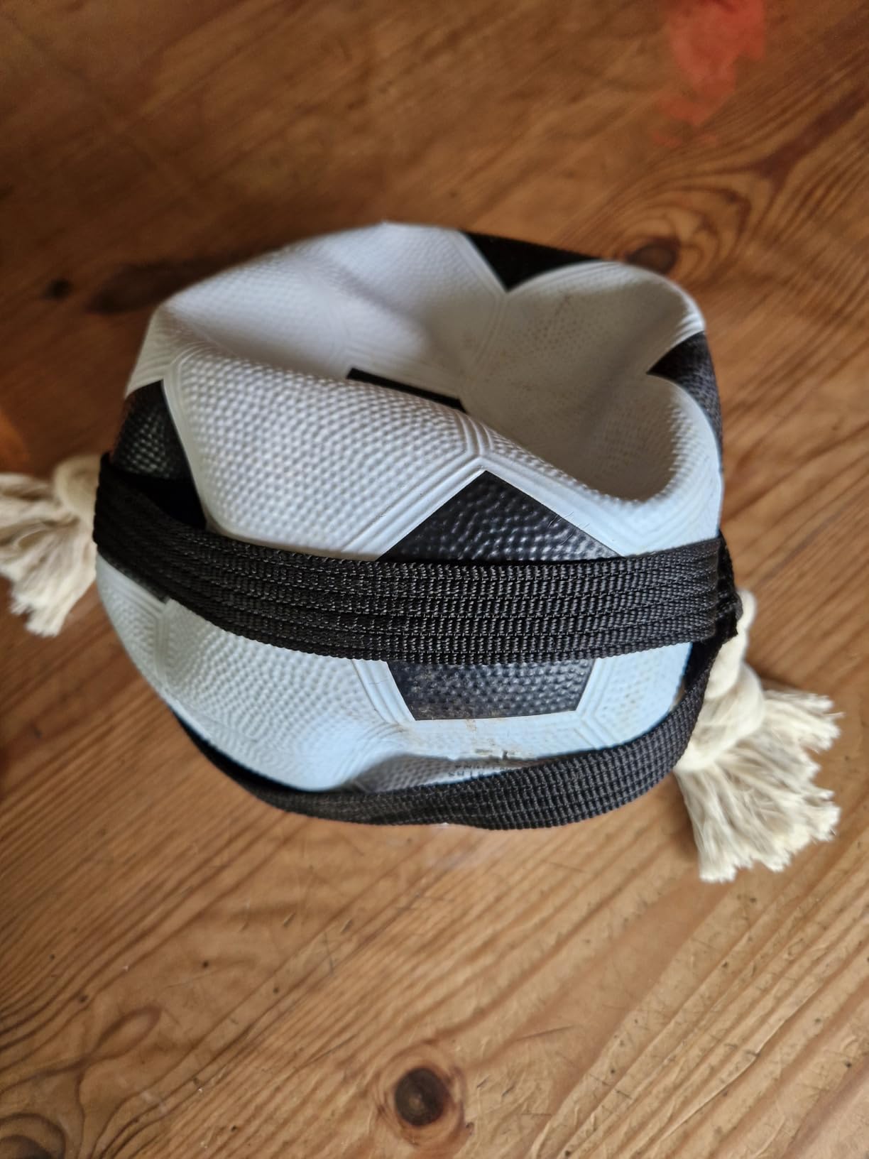 Robust fürs Toben