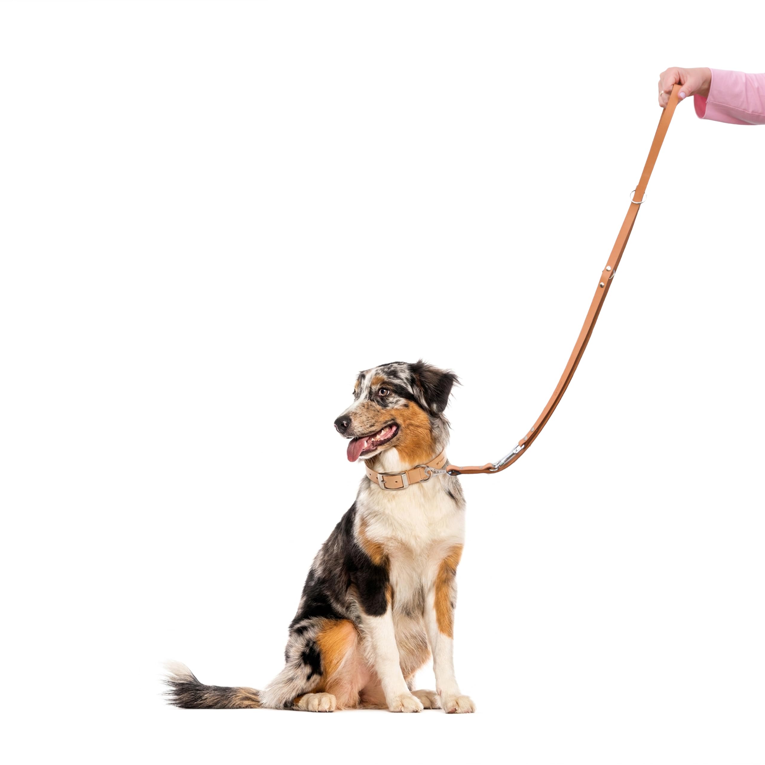 ferplast-natural-ga-trainingsleine-echt-leder-f-r-hunde-mit-verdrehschutz-karabi image 8