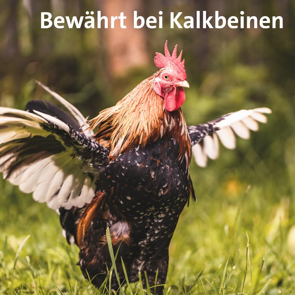 ballistol-animal-pflege-l-f-r-heim-und-haustiere image 8