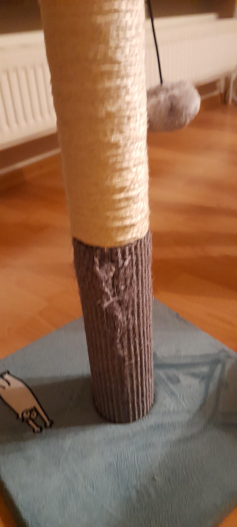Rettet unser Sofa