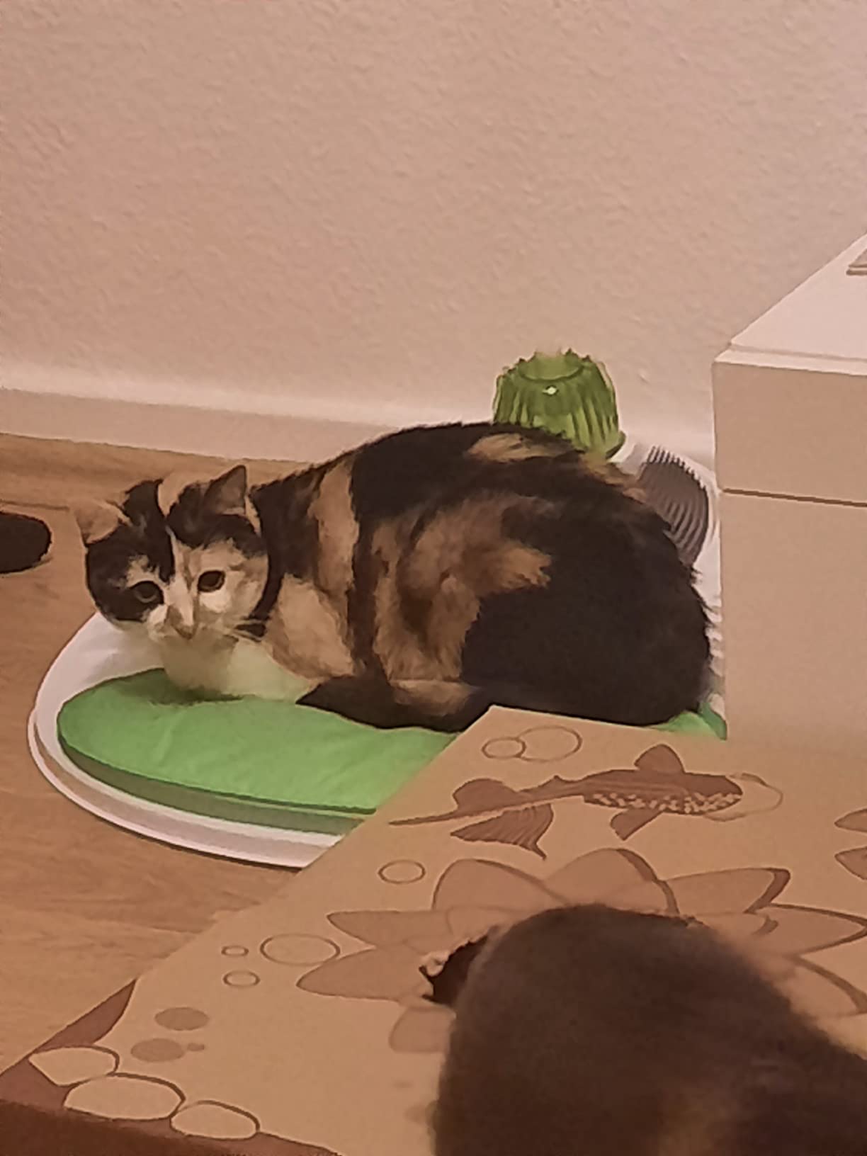 Senior liebt seine Massage