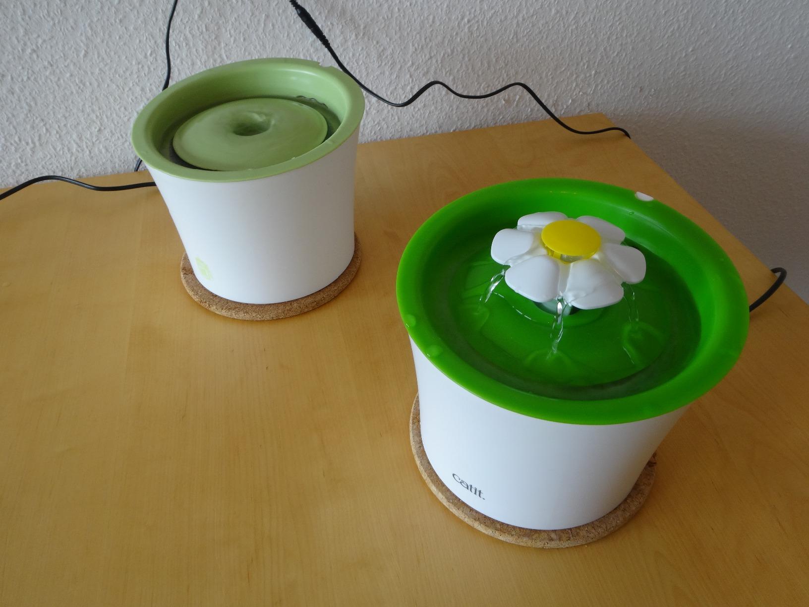 Katzen trinken endlich mehr
