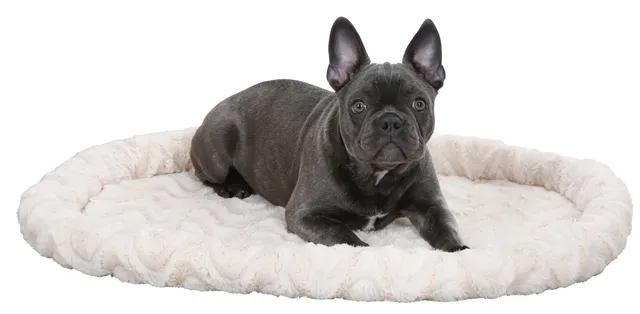 kerbl-pet-kuschelbett-54x45x6-cm-beige-wendbares-hunde-und-katzenbett image 1
