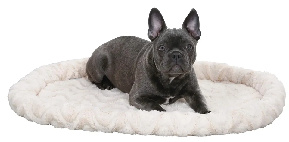 kerbl-pet-kuschelbett-54x45x6-cm-beige-wendbares-hunde-und-katzenbett image 1