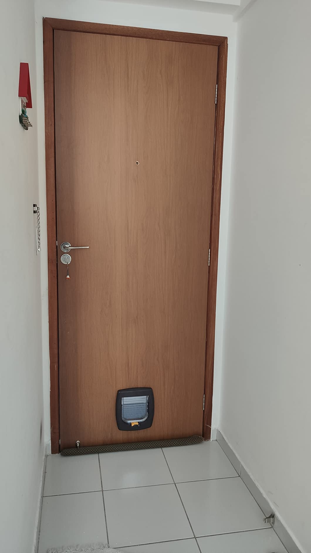 Solide Klappe für Glas geeignet