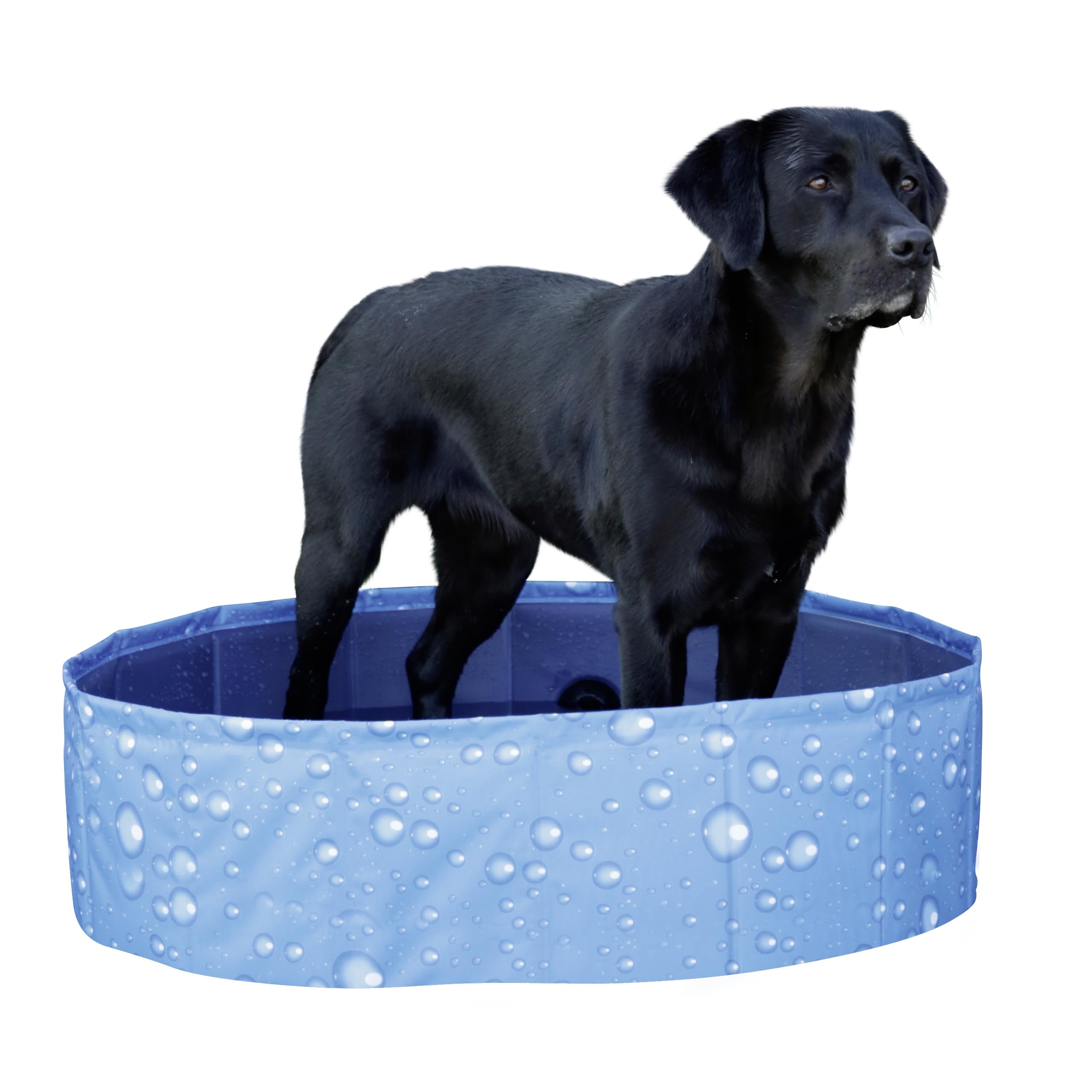 kerbl-pet-hundepool-bubble-planschbecken-faltbar-ohne-aufpumpen image 1