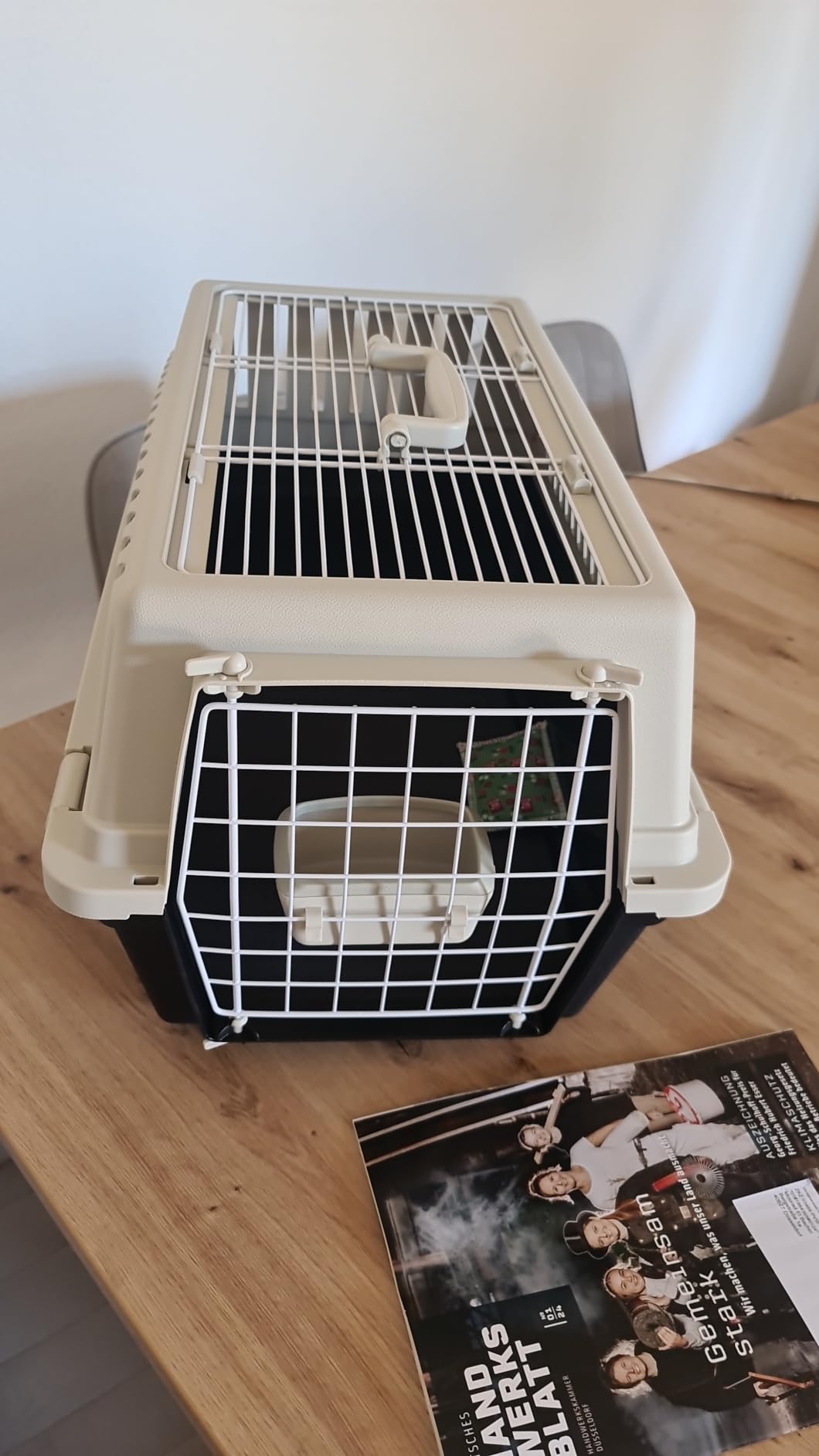 Passt perfekt, Katze entspannt