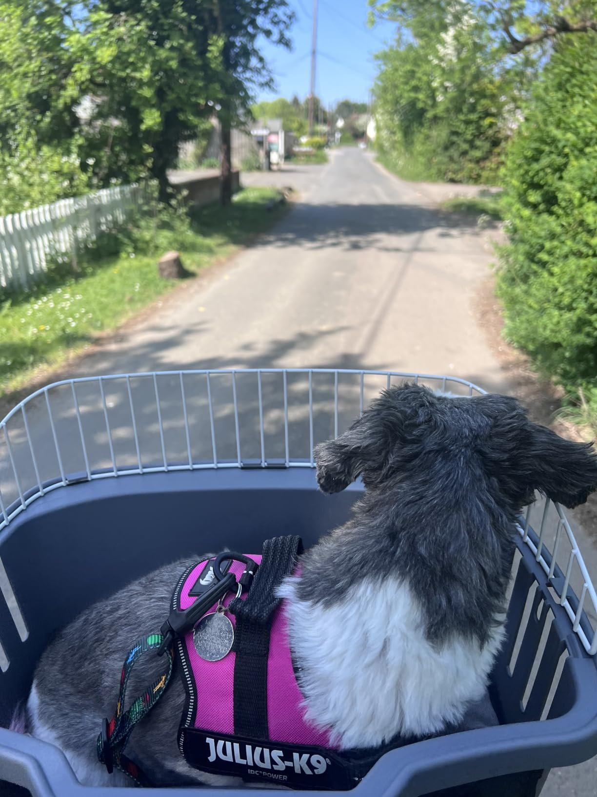 Urlaubsretter