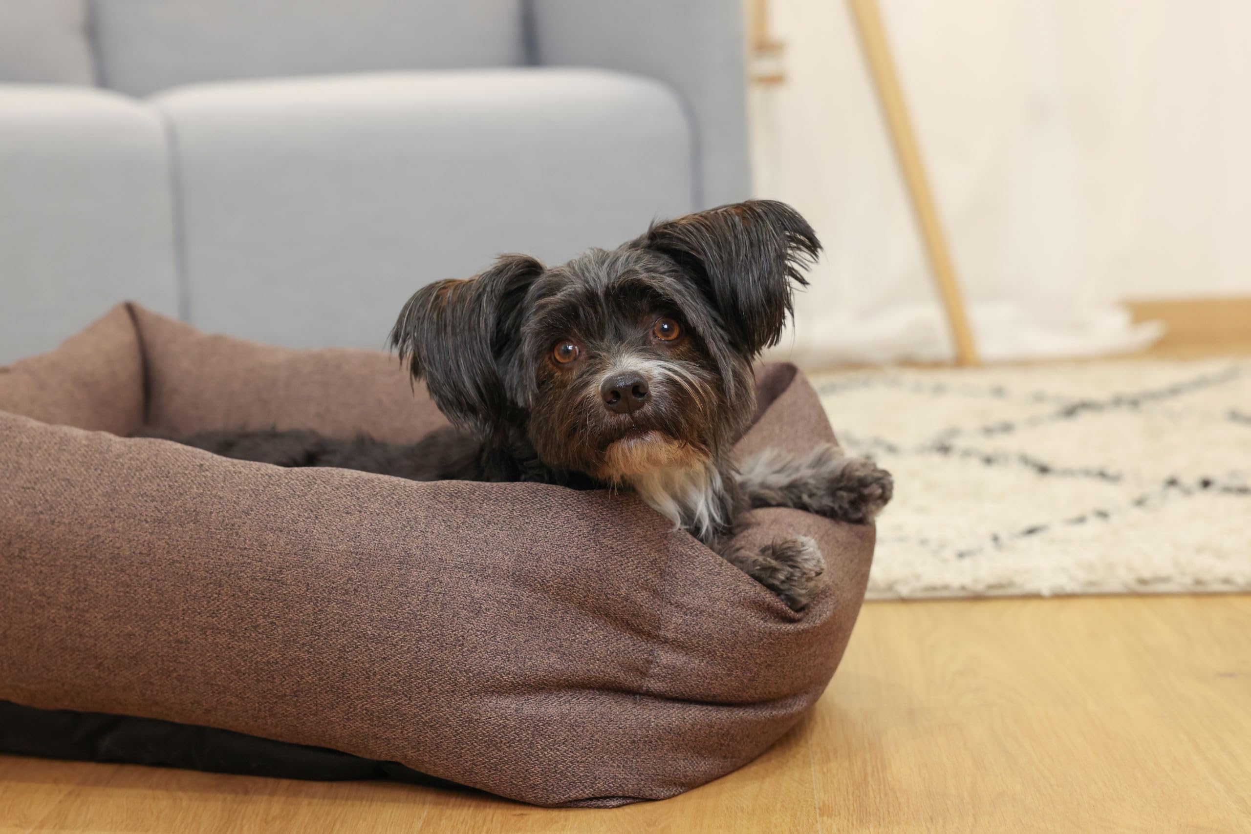 kerbl-pet-kuschelbett-ely-braun-beige-45x60-cm-f-r-hund-und-katze image 4