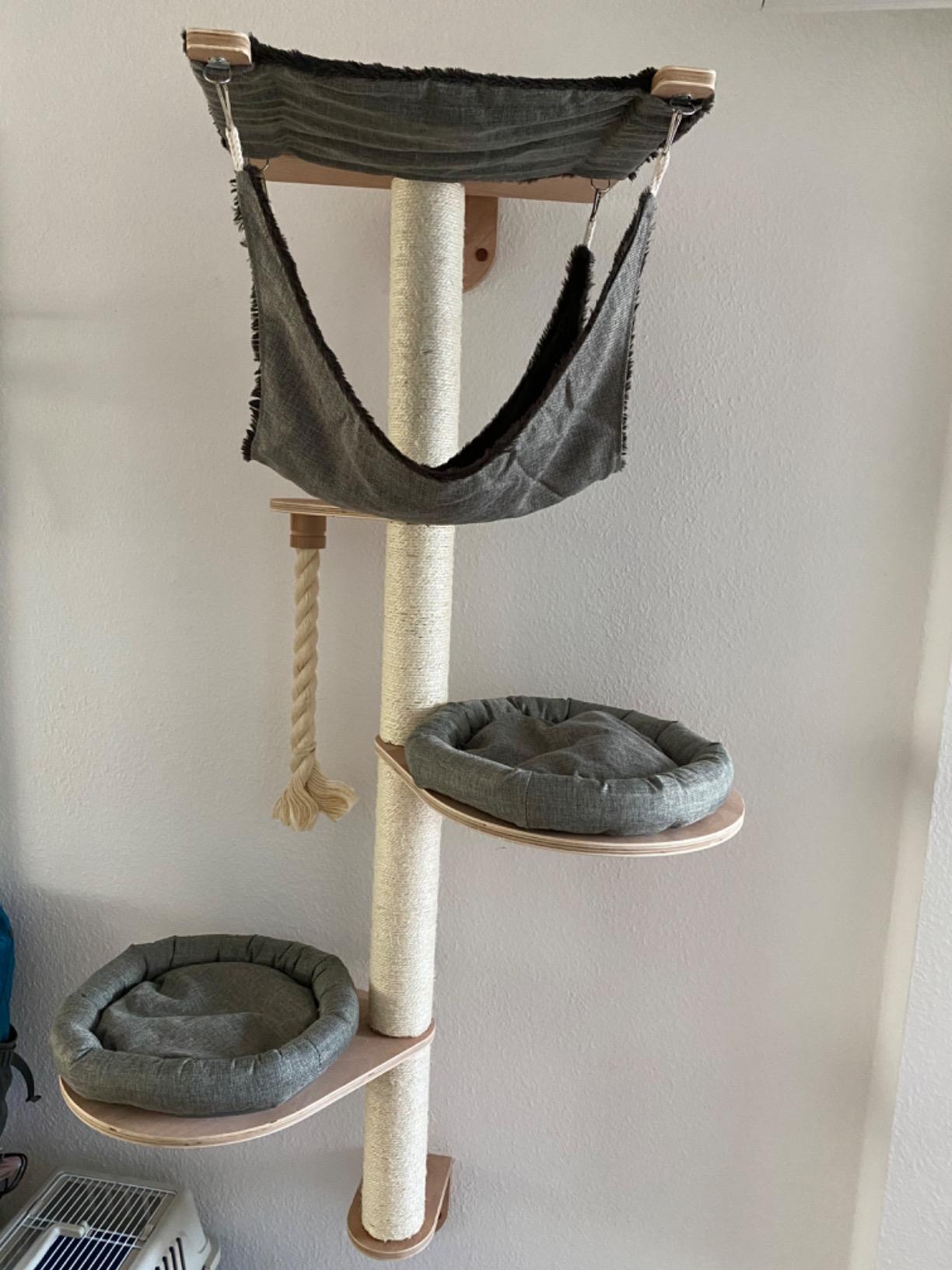 Gut für eine Katze