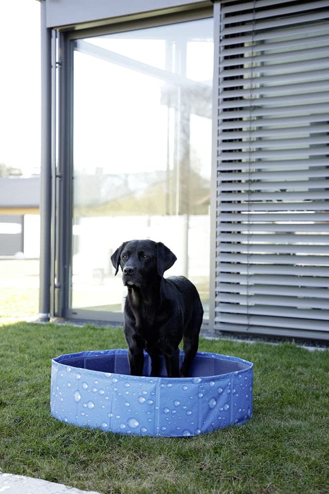 kerbl-pet-hundepool-bubble-blau-120-x-30-cm-kratzfestes-pvc image 7