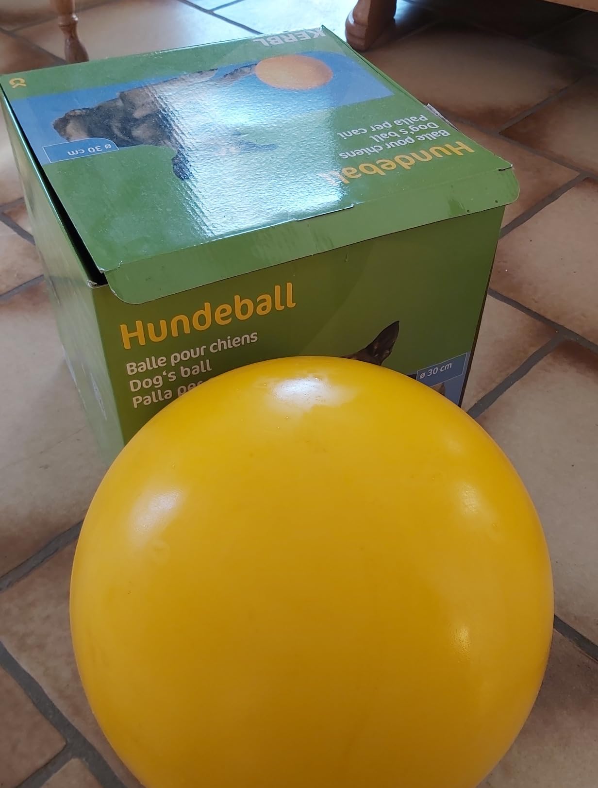 Ideal fürs Training