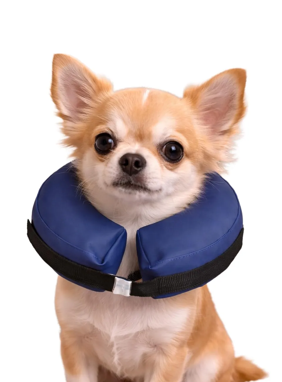 karlie-aufblasbarer-hundekragen-xs-f-r-katzen-und-kleine-hunde image 1