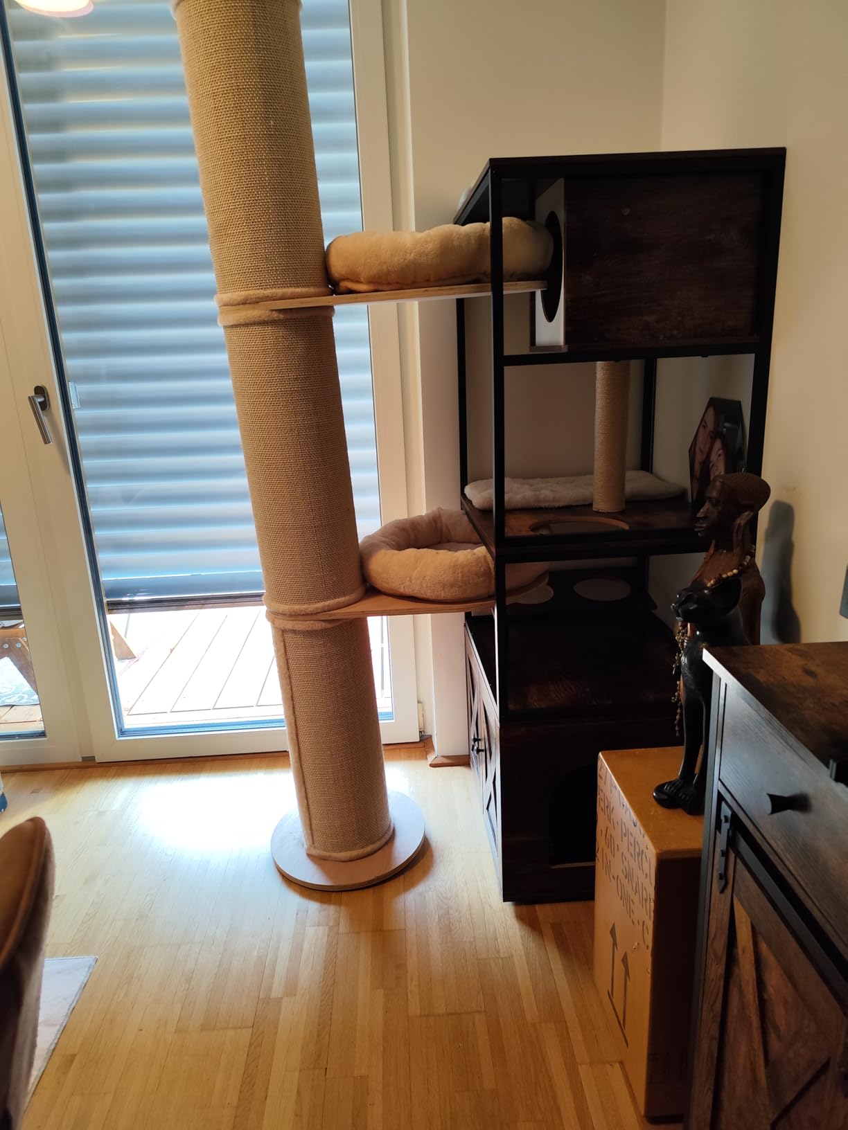 Schneller Versand, glückliche Katzen