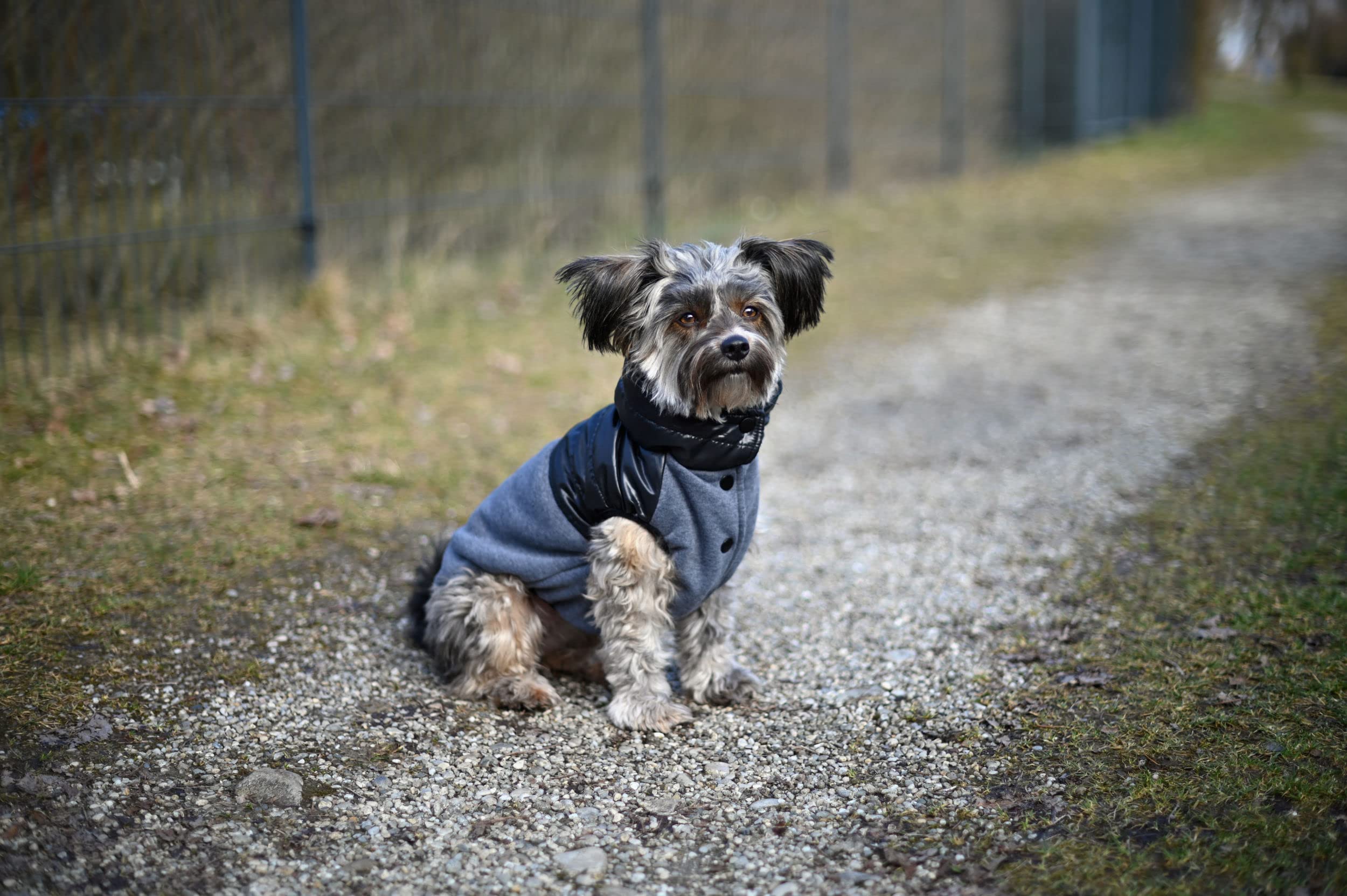 kerbl-pet-hundemantel-quebec-grau-schwarz-l-45-cm image 7