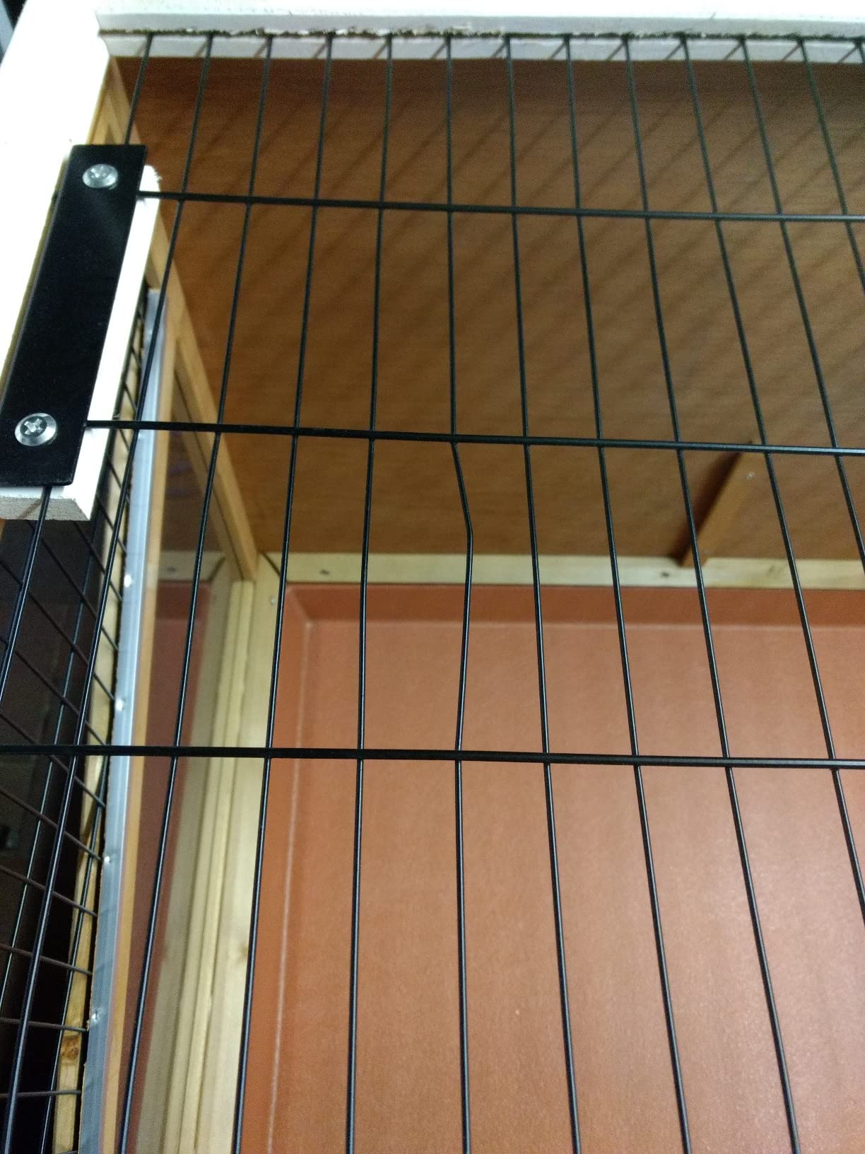 Preis-Leistung stimmt