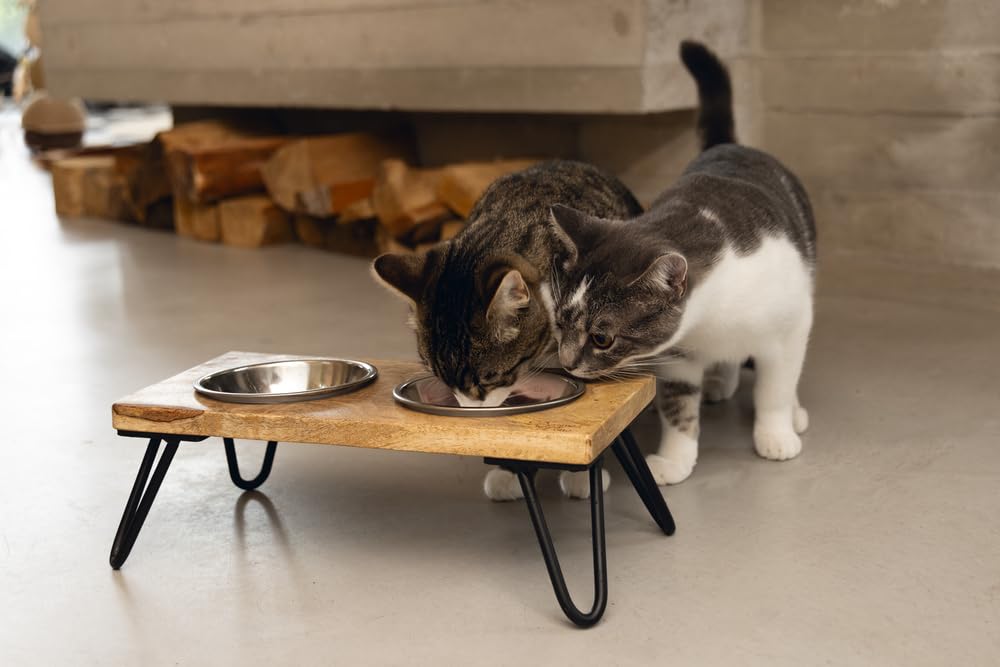 karlie-designed-by-lotte-linga-dinerset-katze-holz-metall-inkl-2-n-pfe image 4