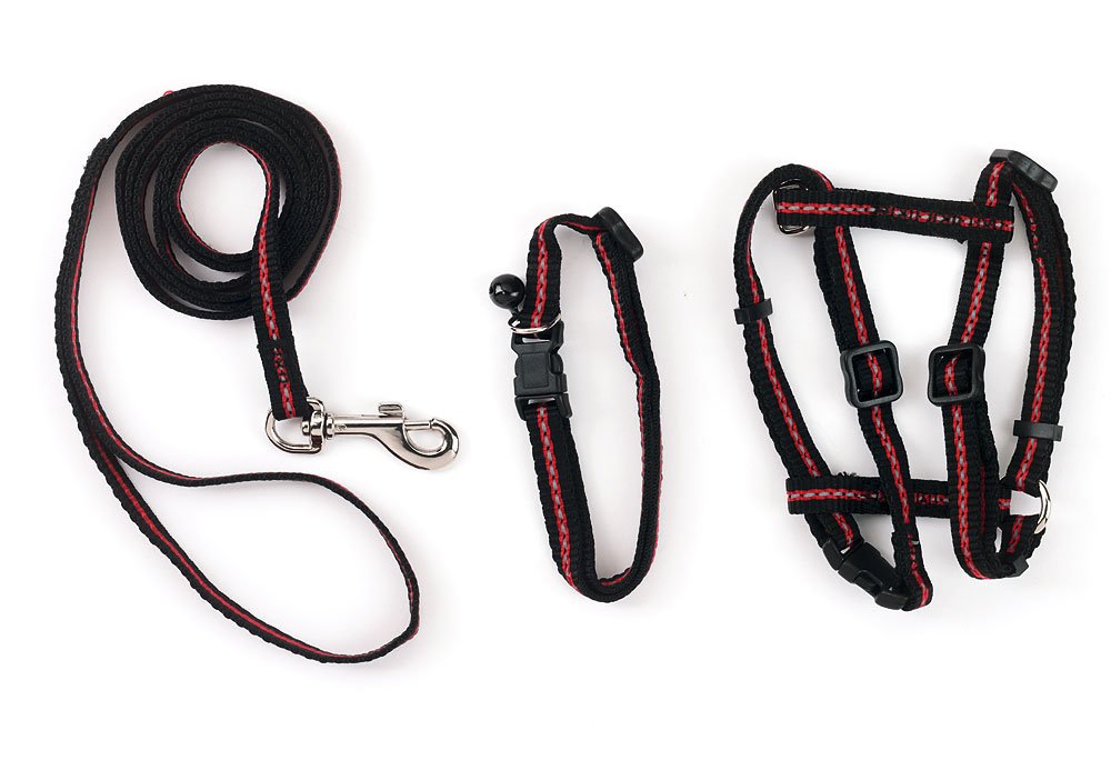 kerbl-pet-katzen-set-halsband-geschirr-und-leine-reflektierend-aus-nylon image 3