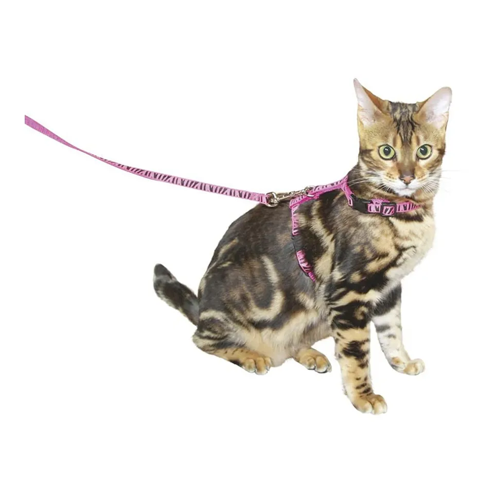 kerbl-katzengeschirr-mit-leine-120-cm-x-10-mm-pink-zebra image 1