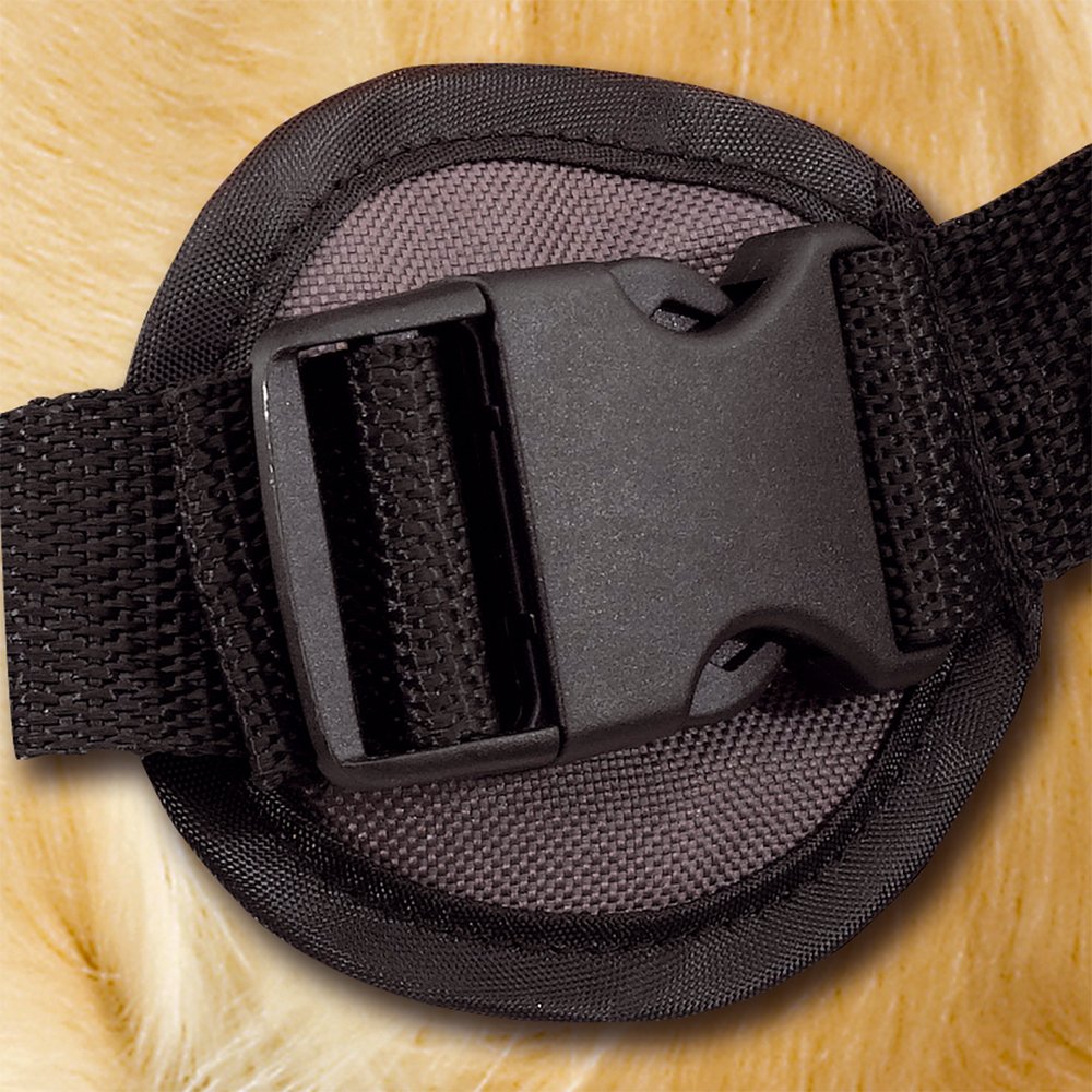 ferplast-dog-scout-hunderucksack-f-r-mittelgro-e-und-gro-e-hunde image 5