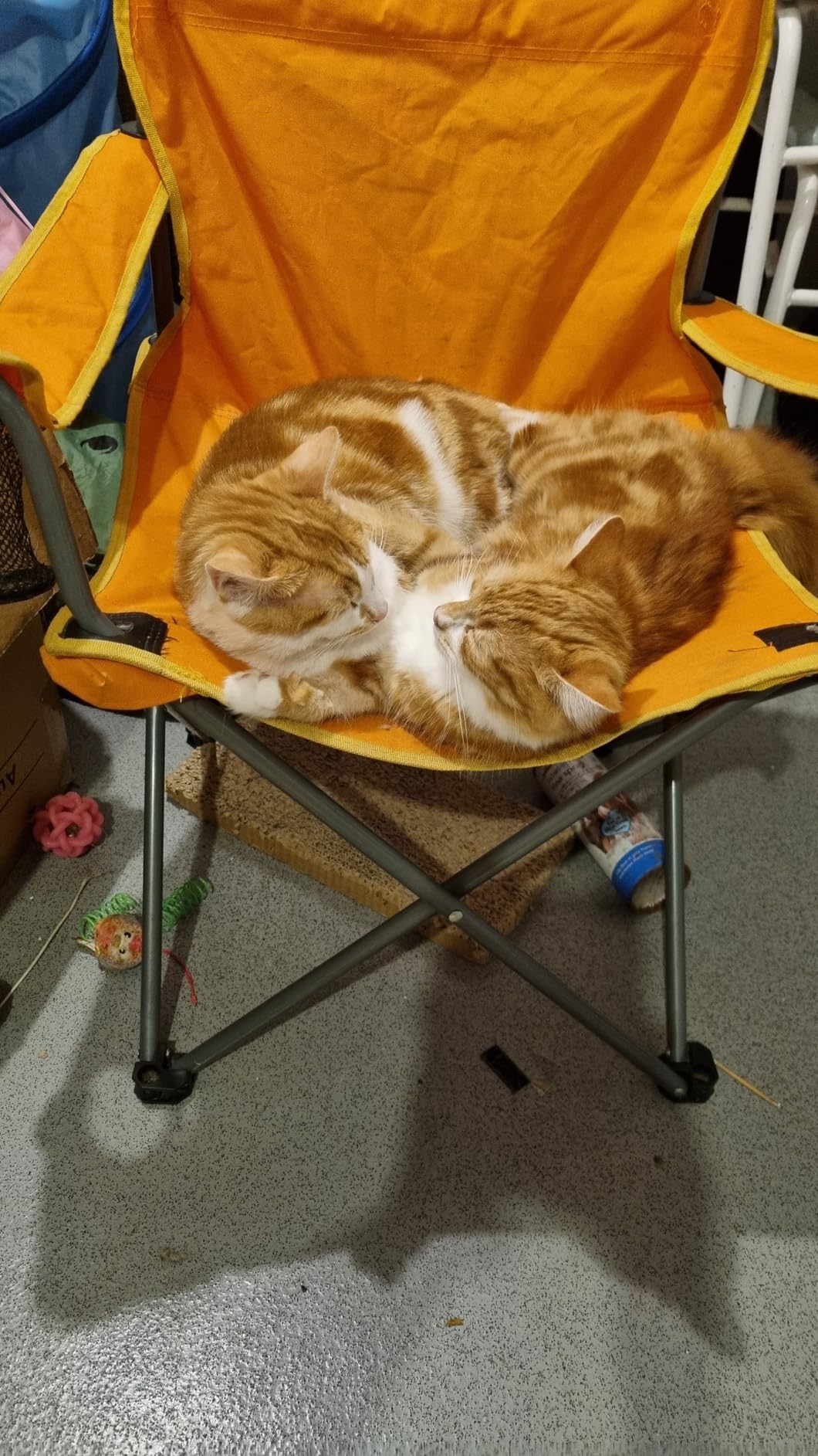 Wird restlos aufgefuttert