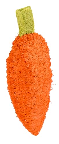 kerbl-pet-karotte-aus-luffa-f-r-nager-10-cm image 3