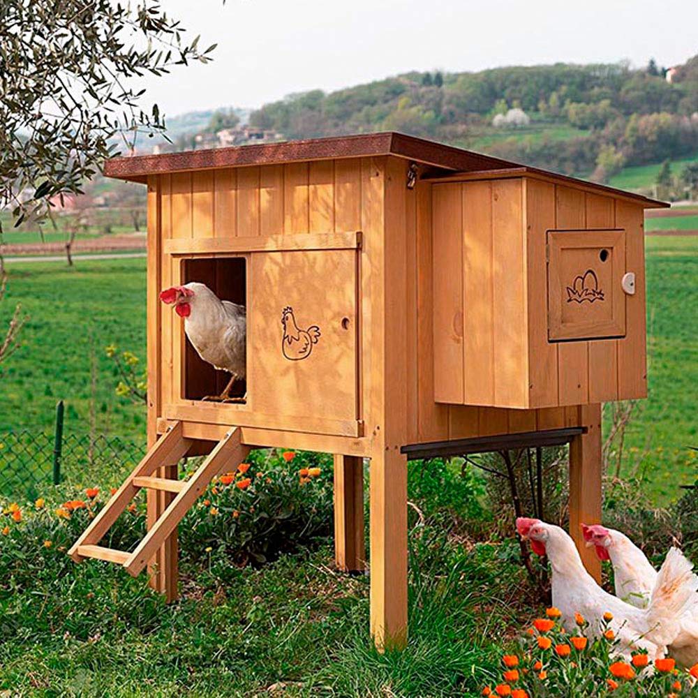 ferplast-hen-house-10-h-hnerstall-aus-fsc-holz-f-r-ca-4-h-hner-124x98x110-cm image 3