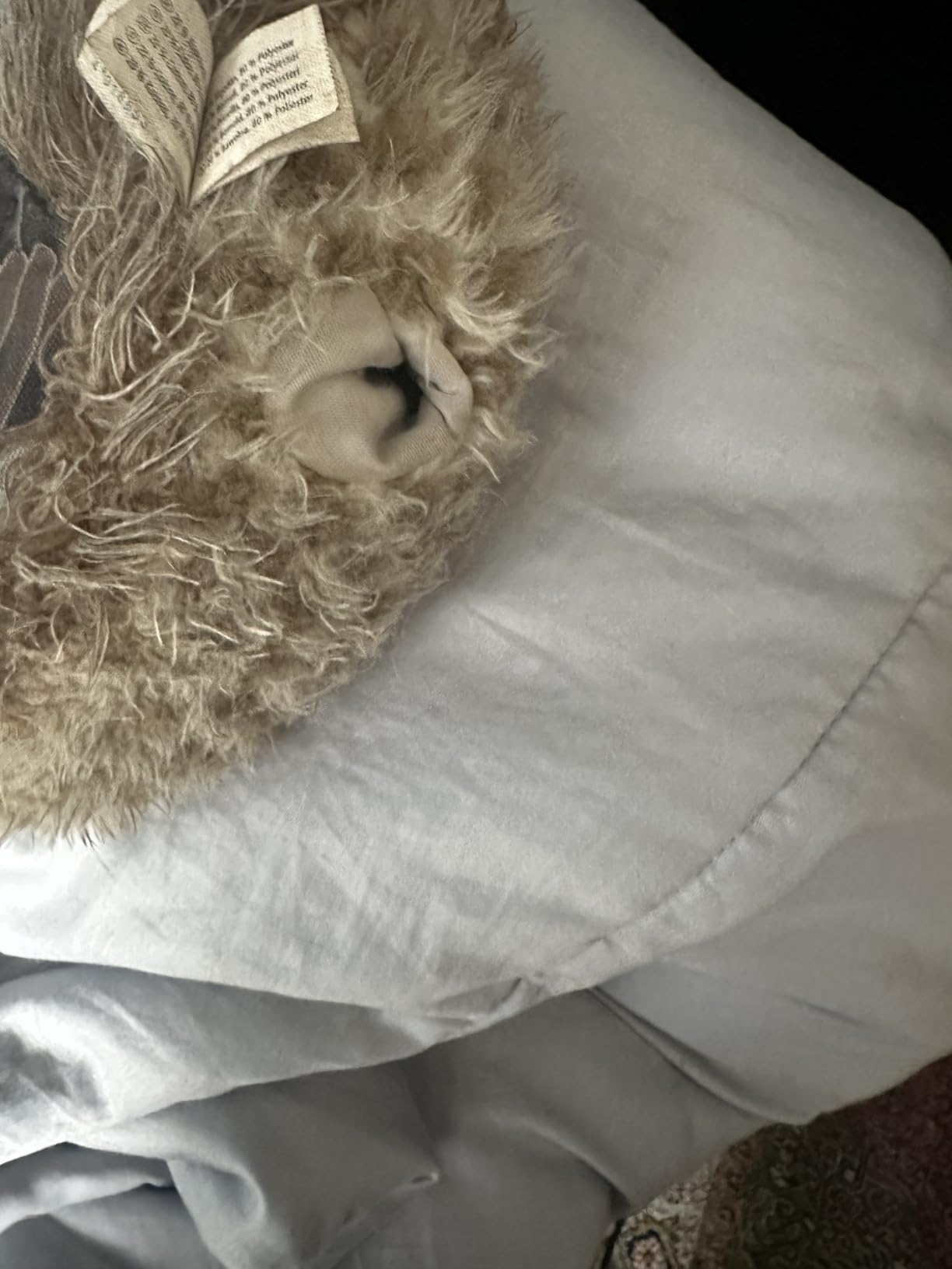 Absolute Kaufempfehlung