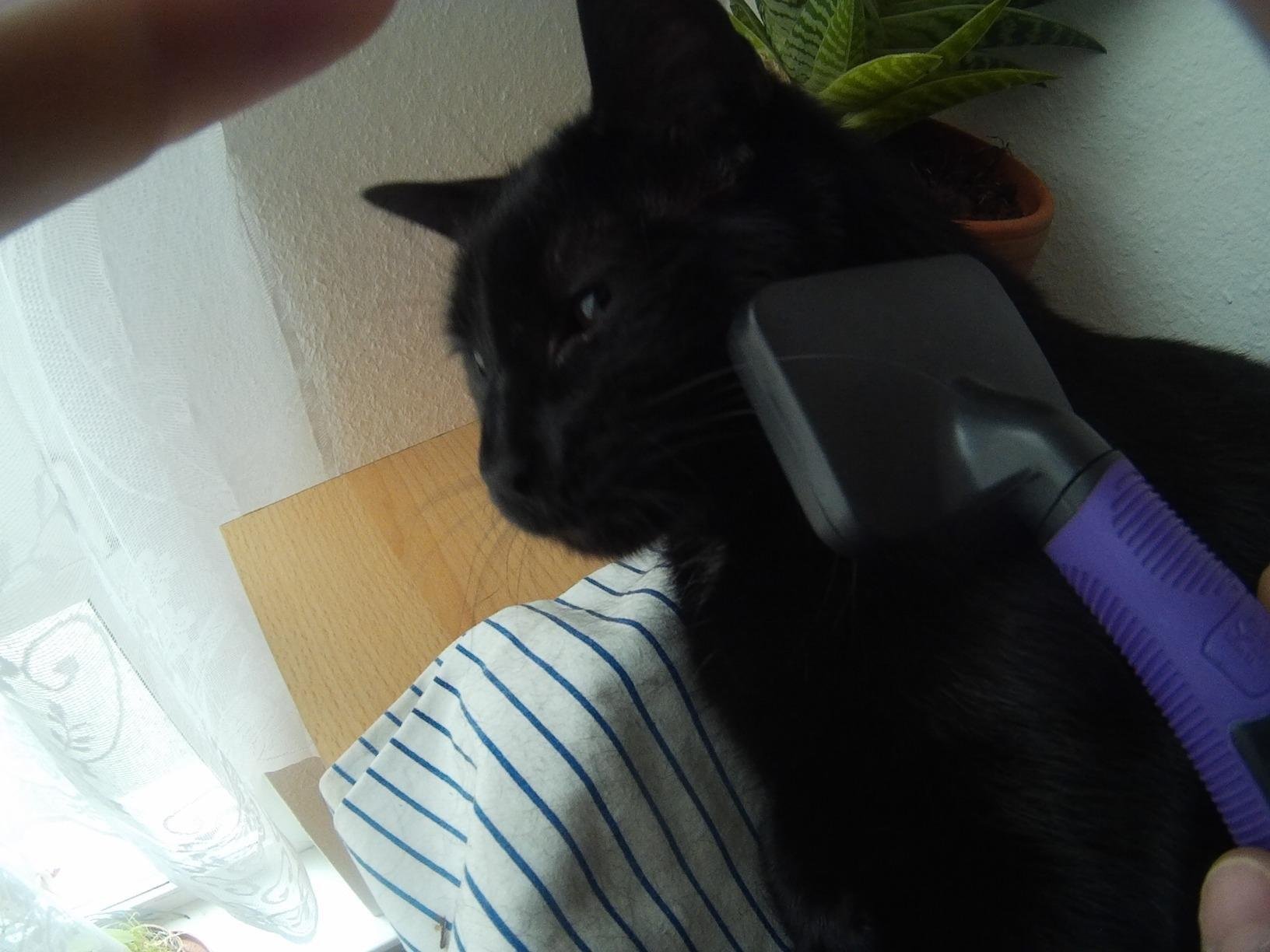 Endlich keine Haare mehr überall