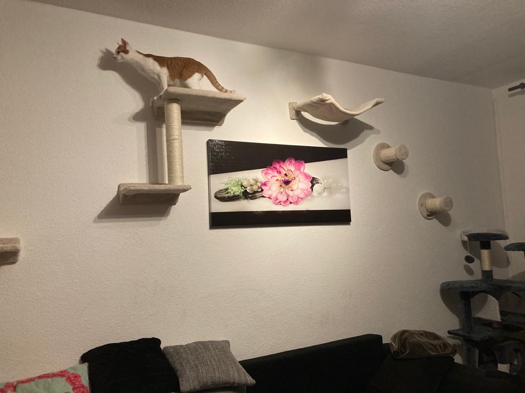 Flexibel und platzsparend